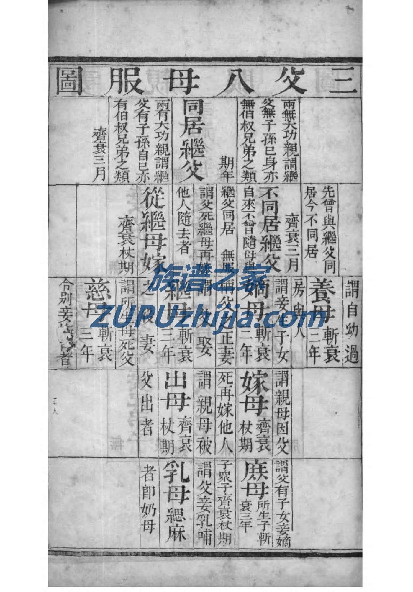 鲍家族谱查询