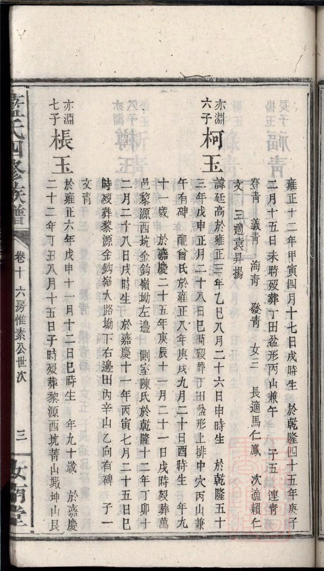 井氏族谱视频