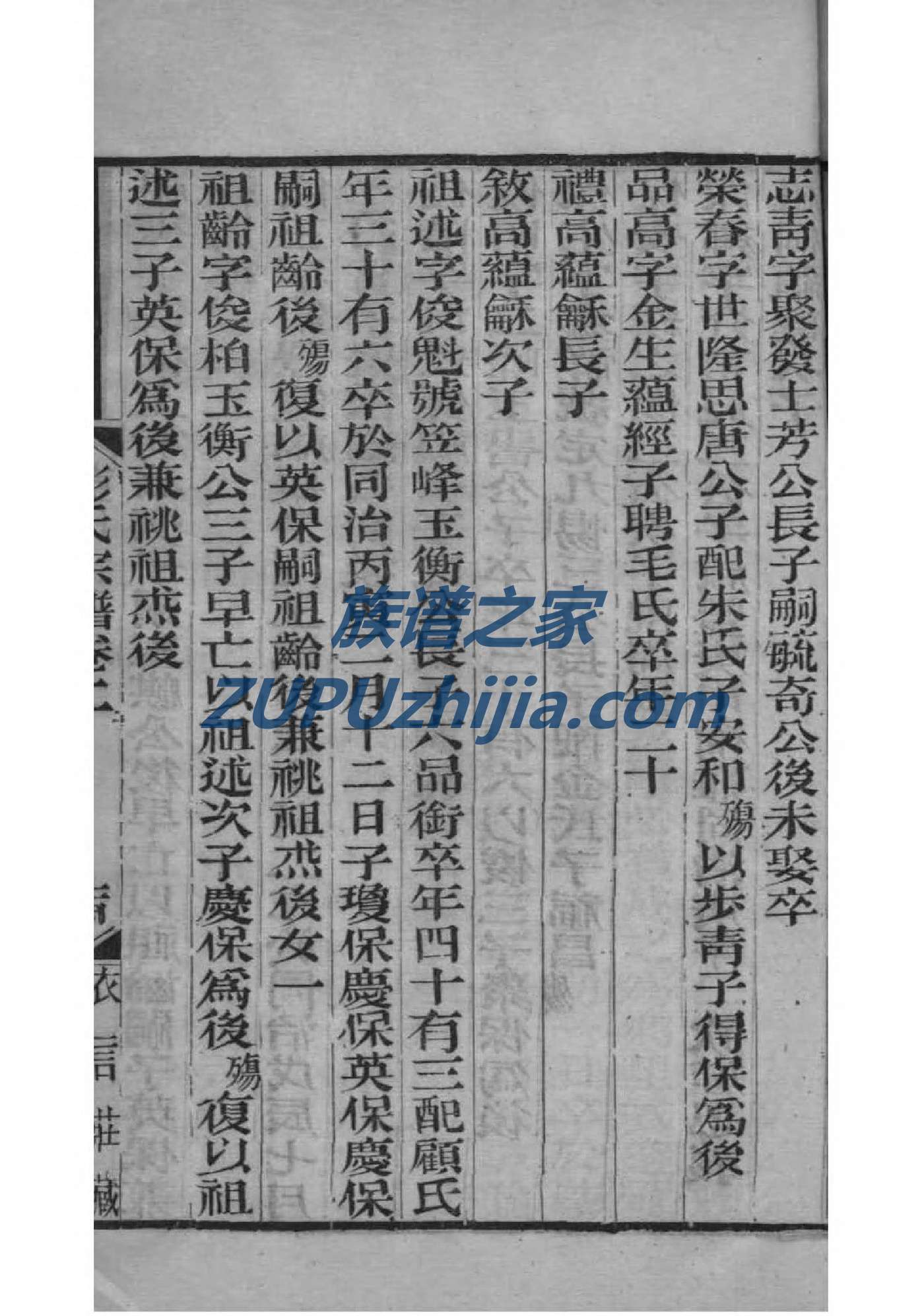 管氏家谱网