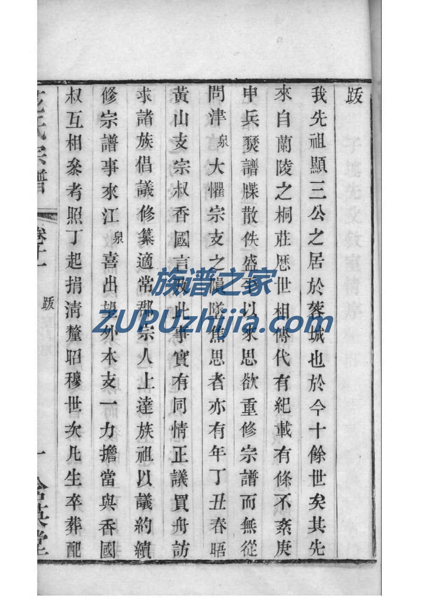 家谱制作样本图