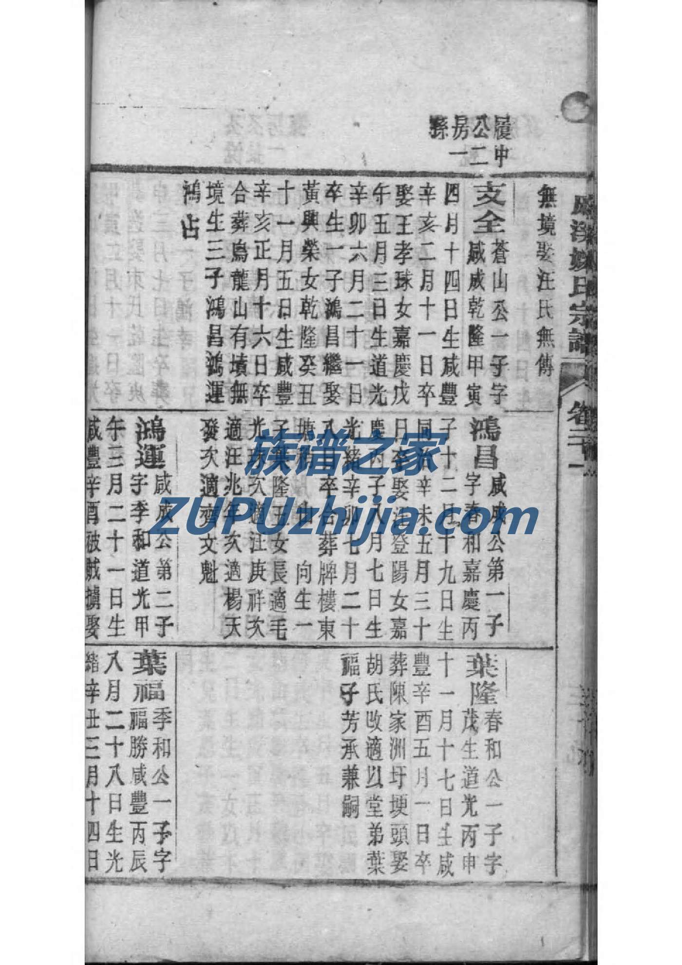 族谱制作软件