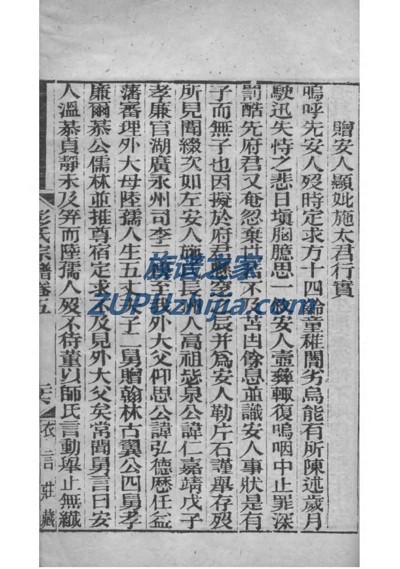 通家家谱查询
