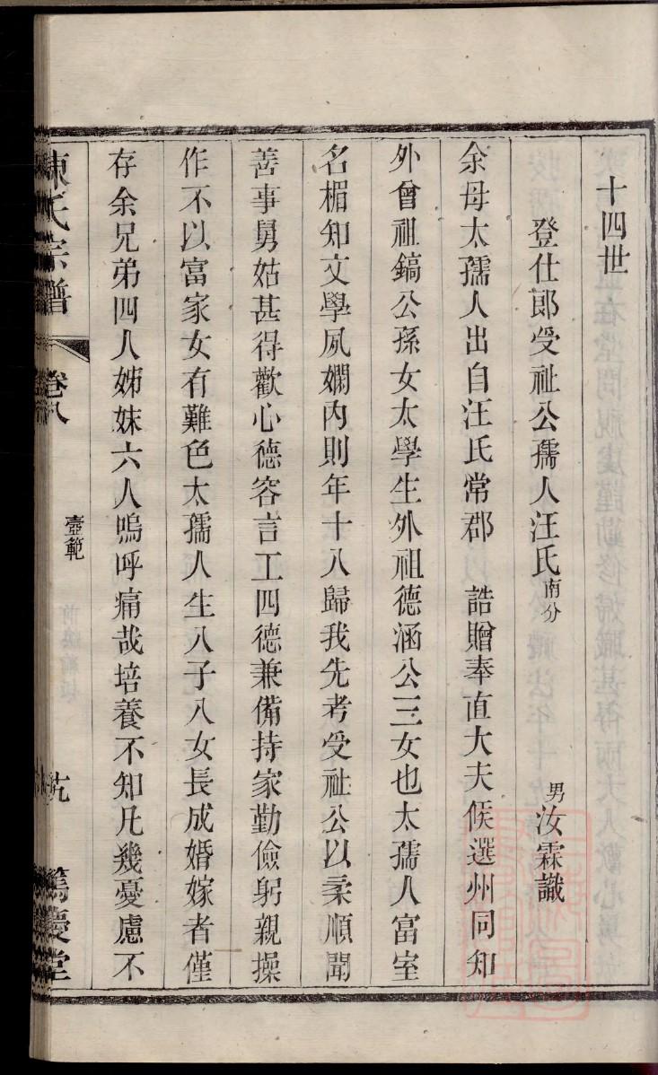 束氏族谱书籍购买