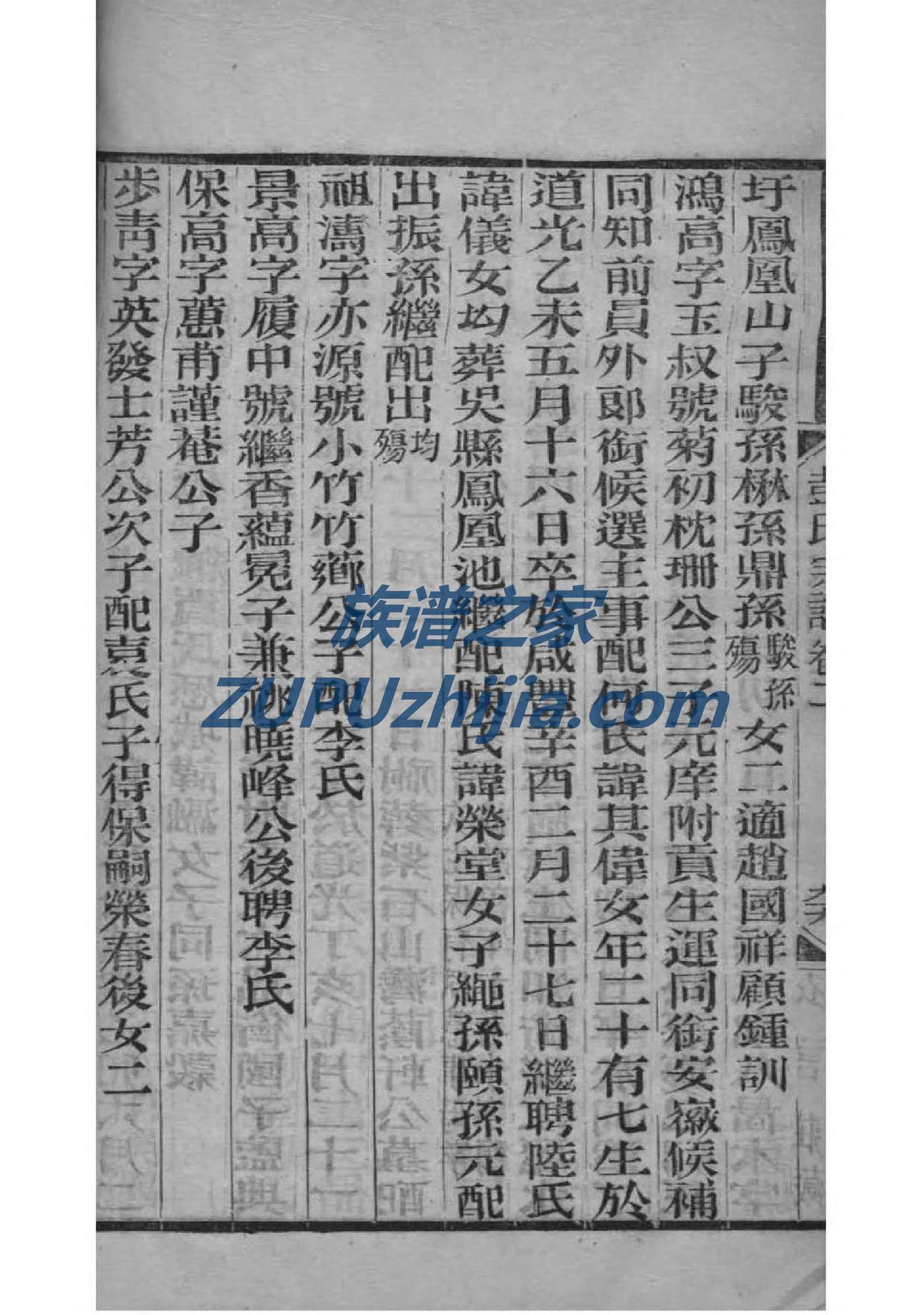 从氏家谱网