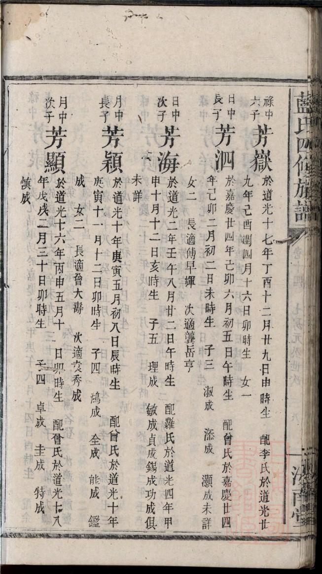制作家谱手抄报