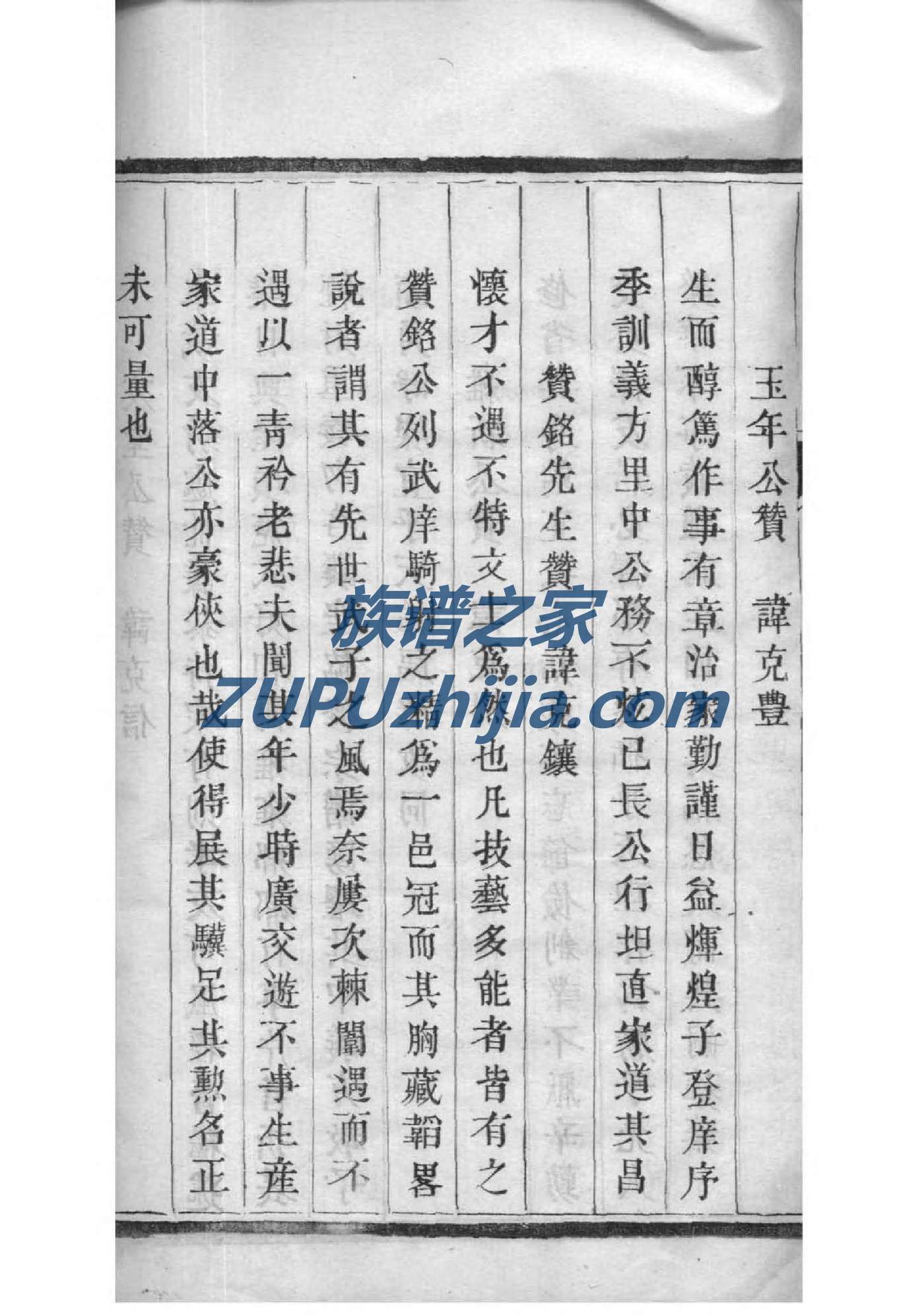 族谱家谱模板EXCEL