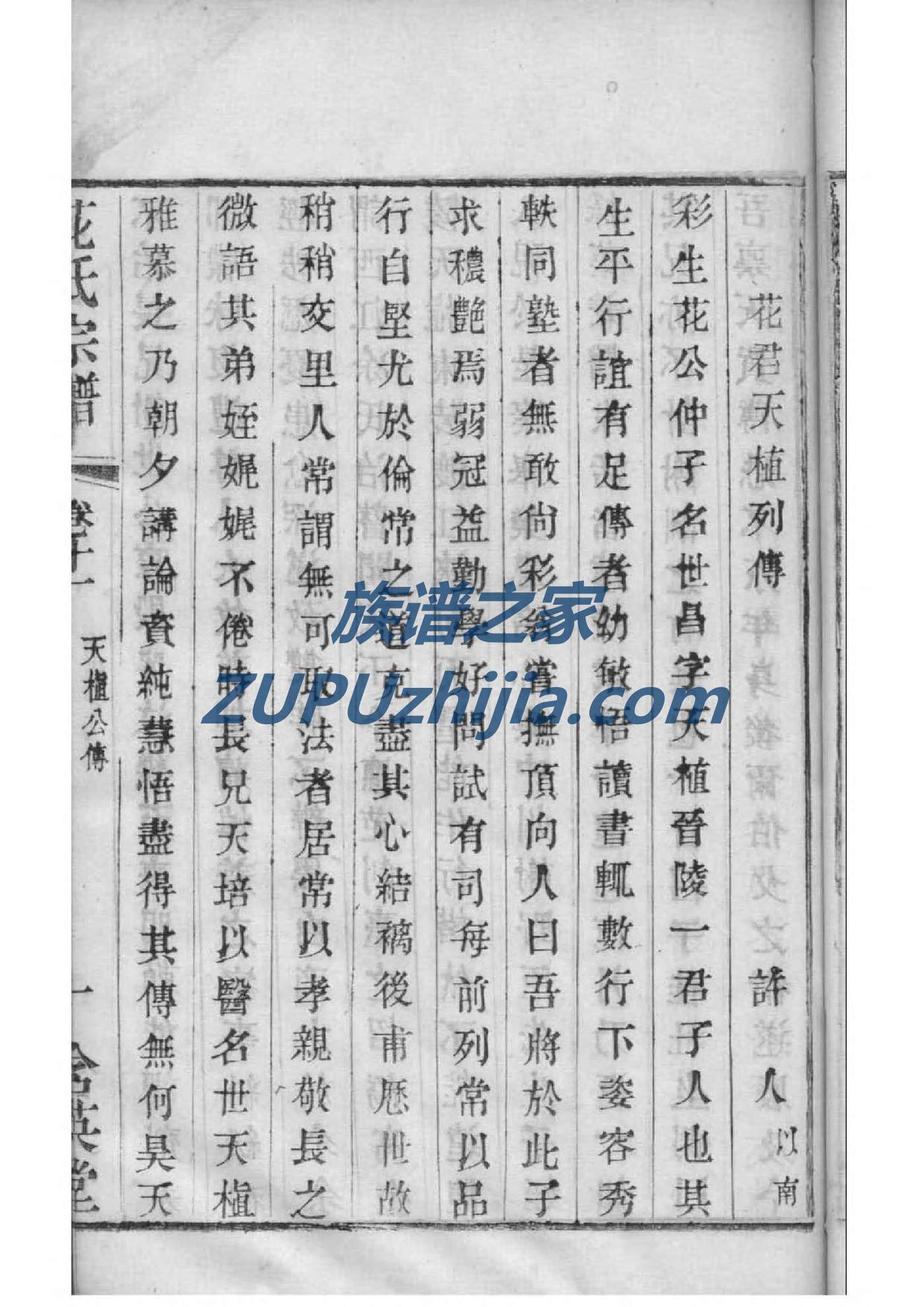 解氏家谱族谱在哪里看