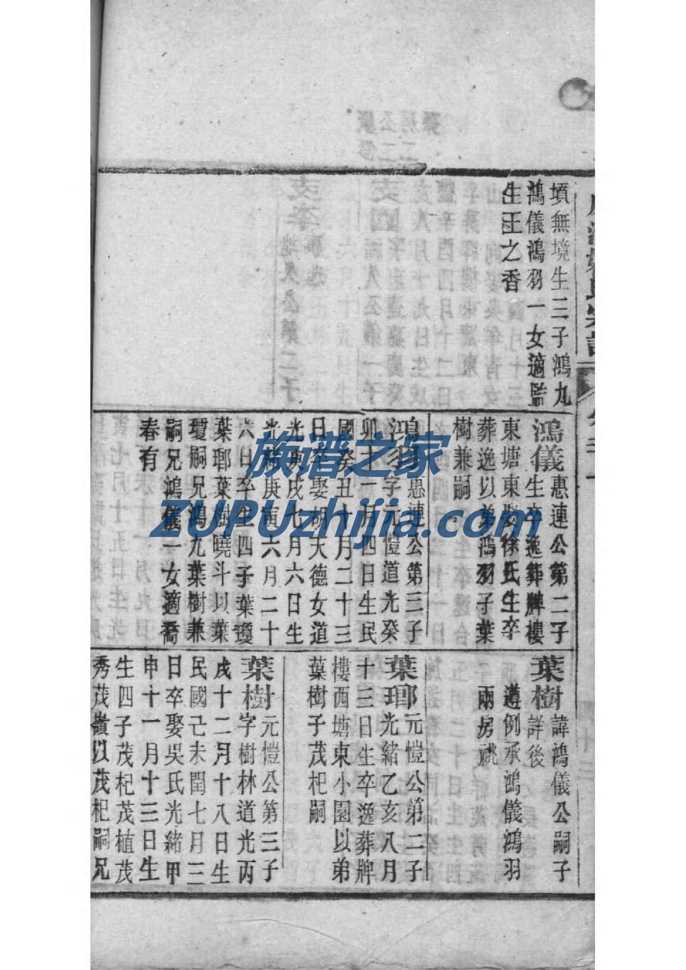 陈氏族谱浙江分支