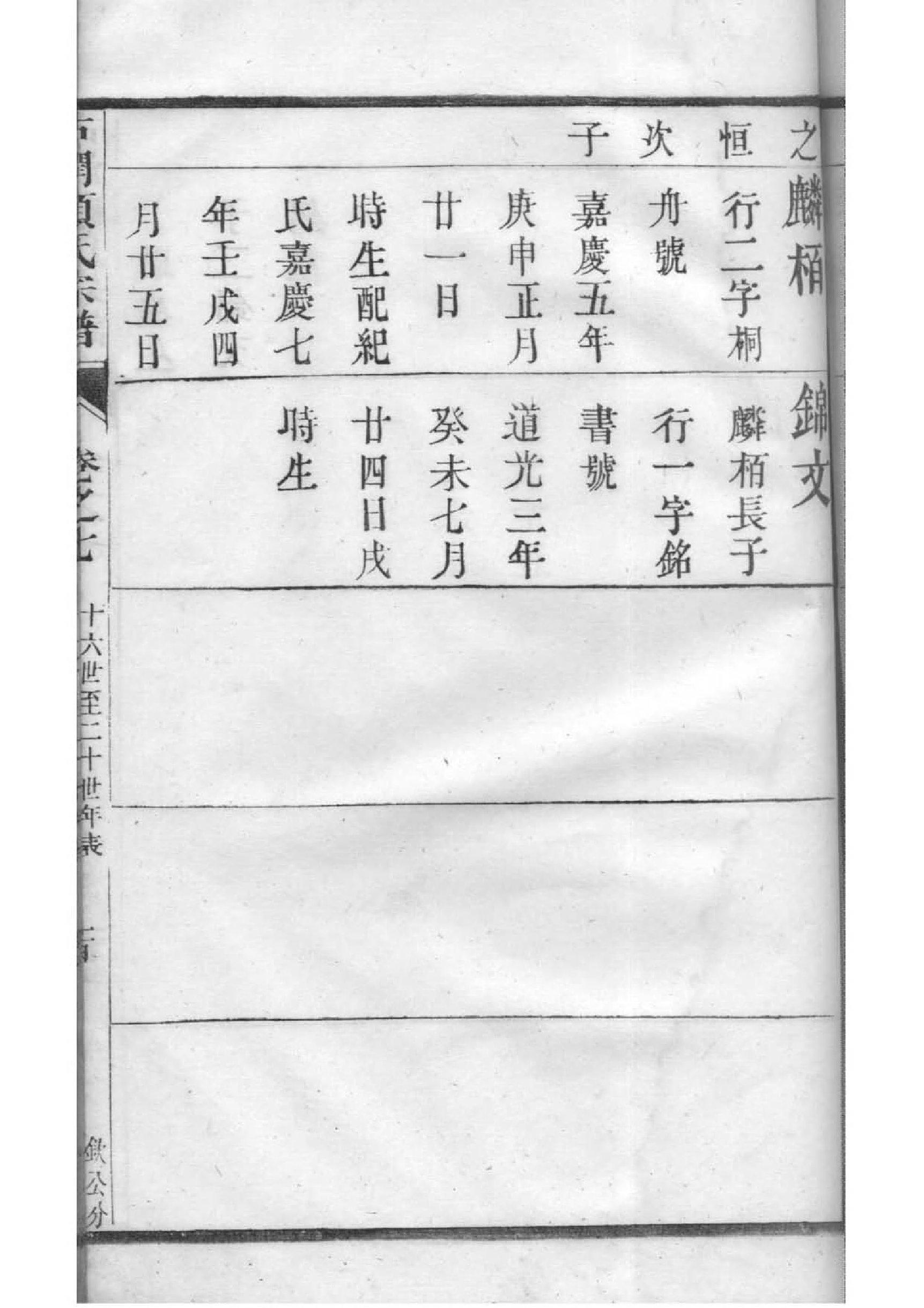 族谱视频