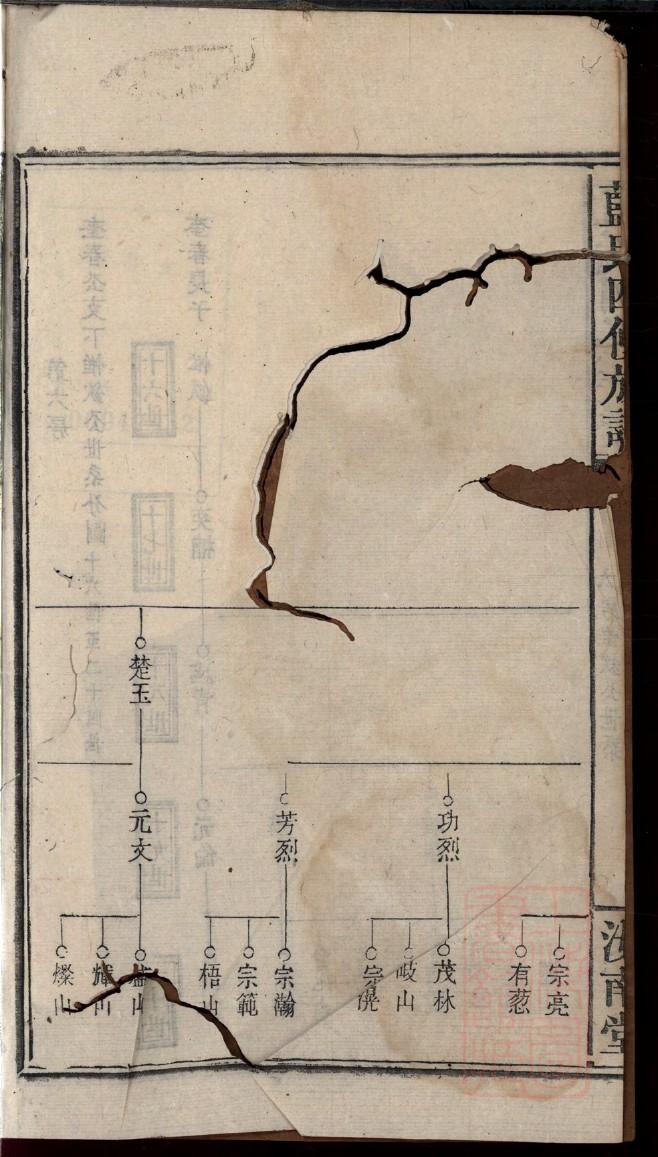 薛氏祠堂介绍