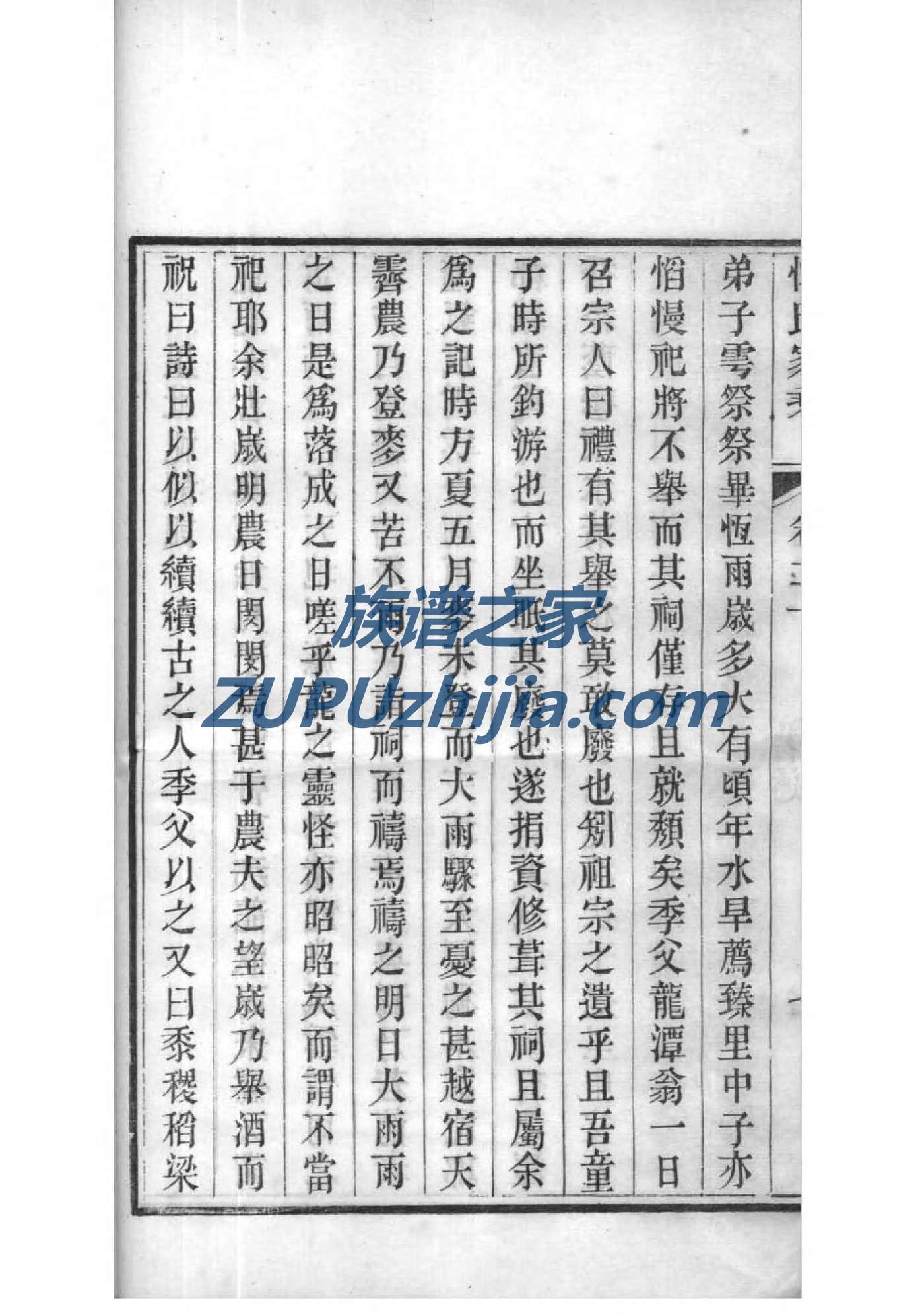 荤氏家谱网