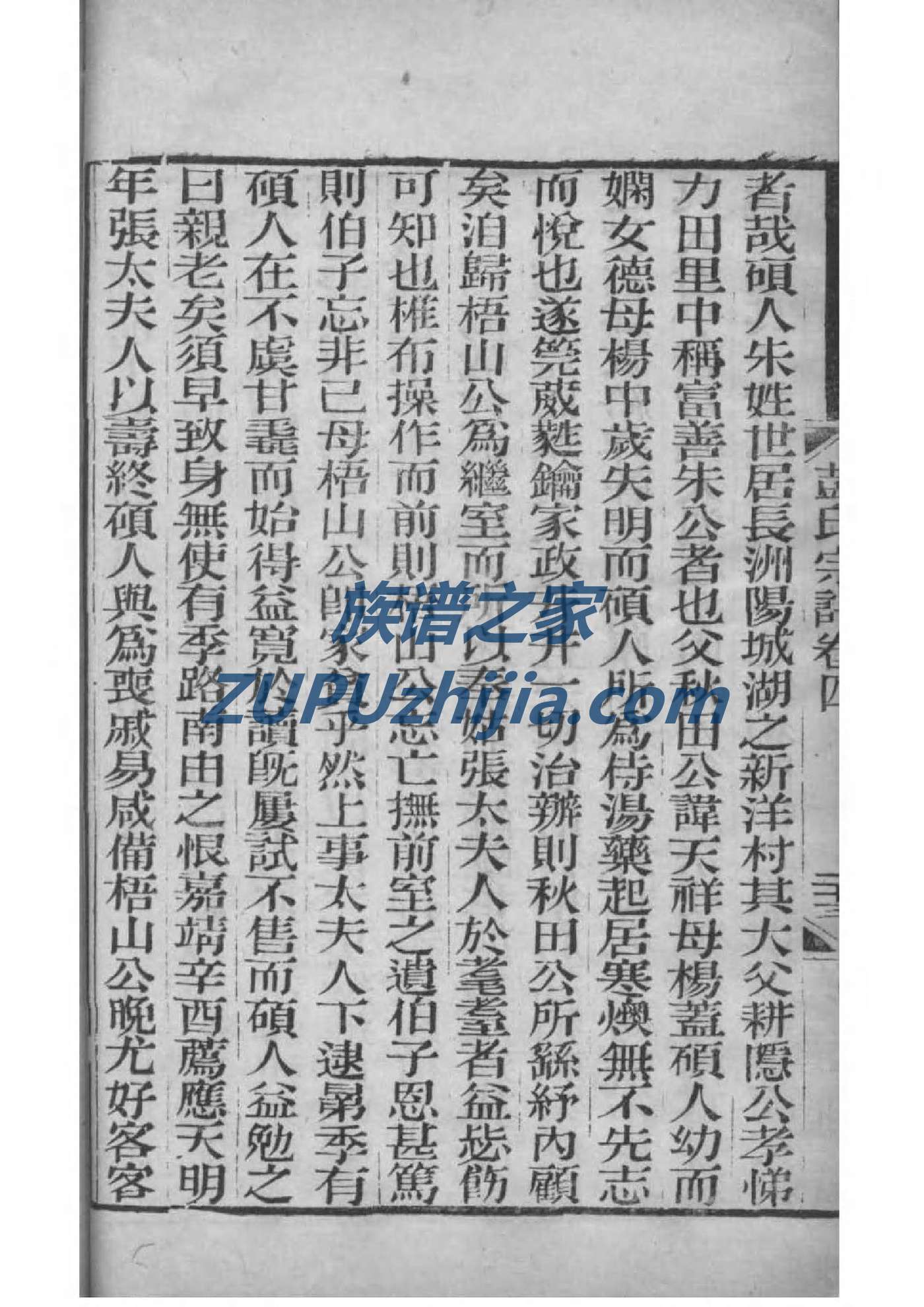 家谱族谱制作WORD
