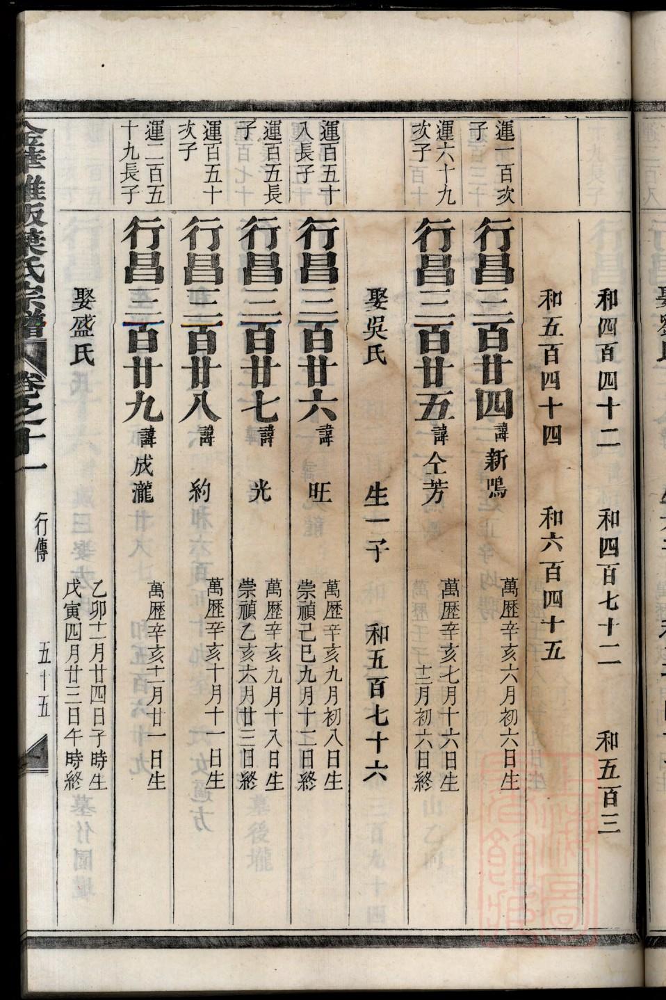 永恒族谱专业版