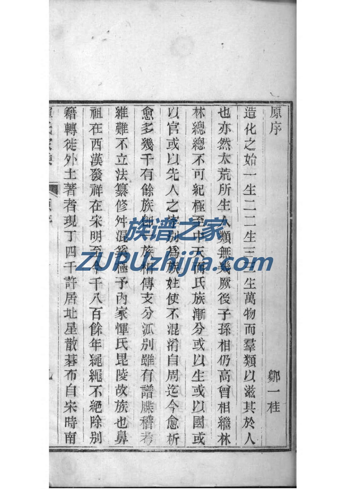苏氏族谱电子版