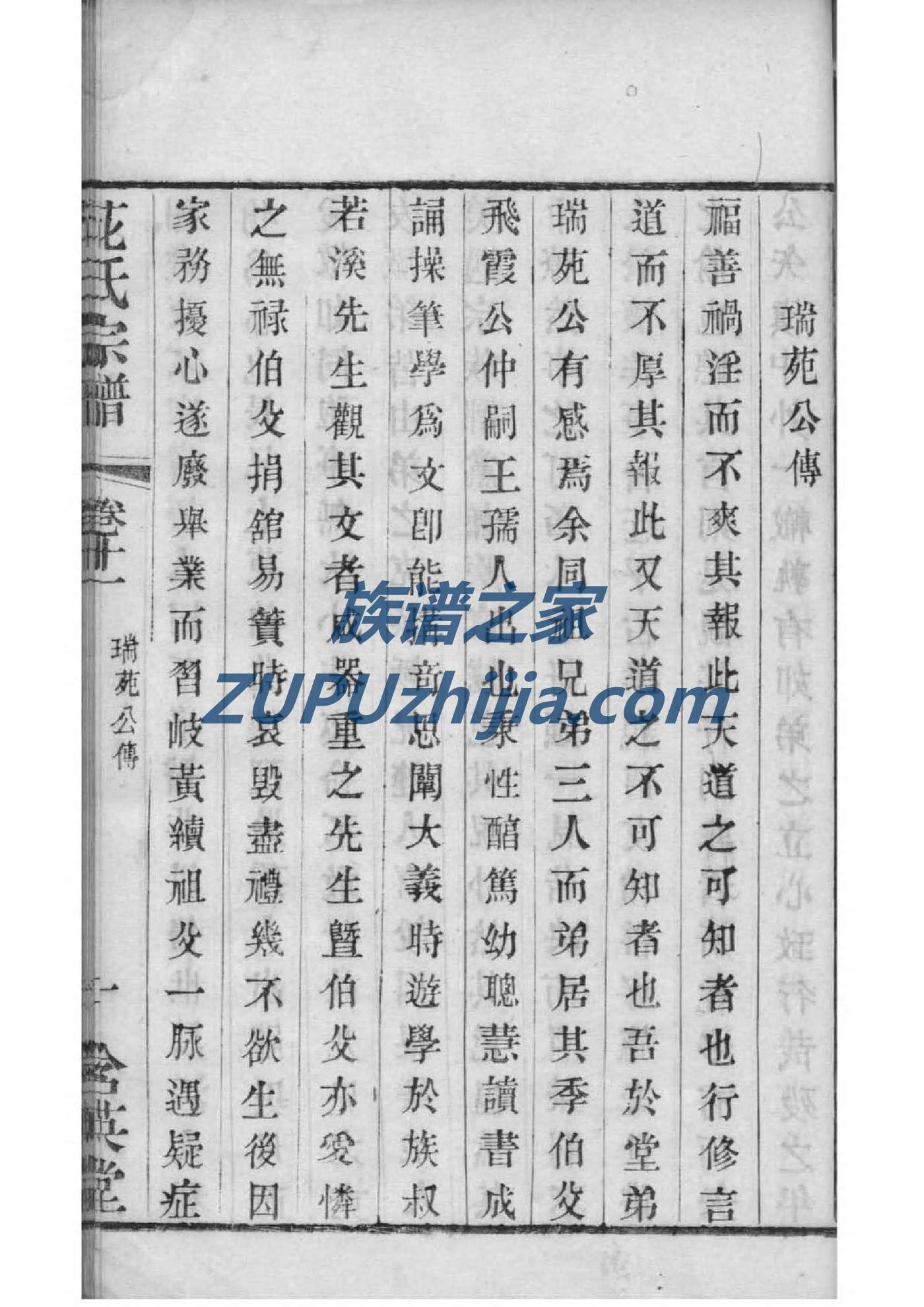 苟氏族谱视频
