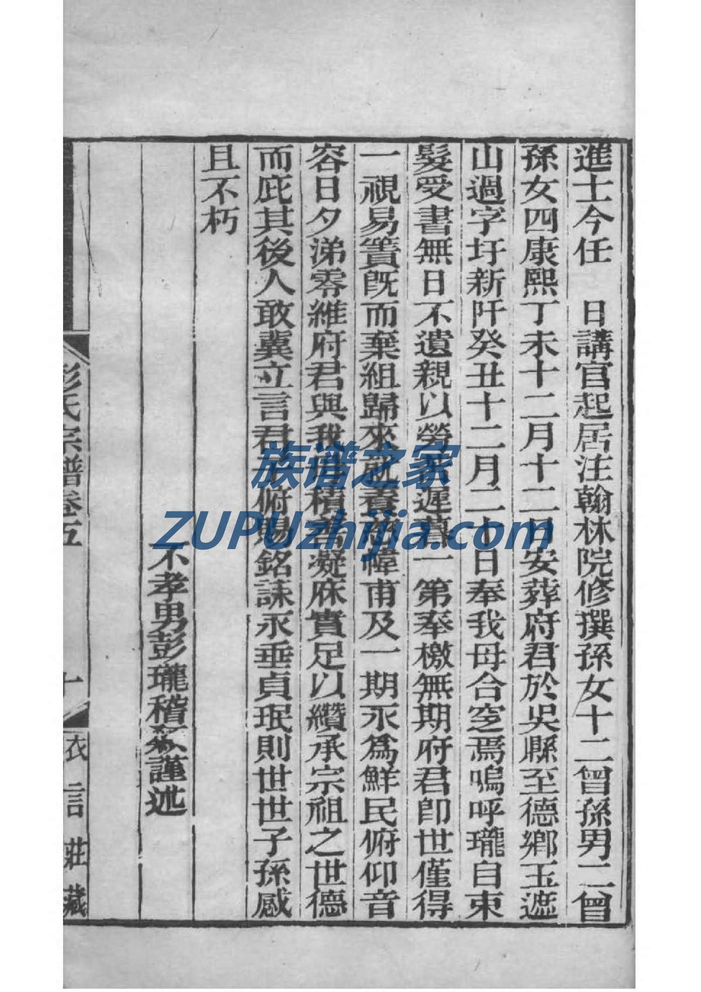 家谱族谱表