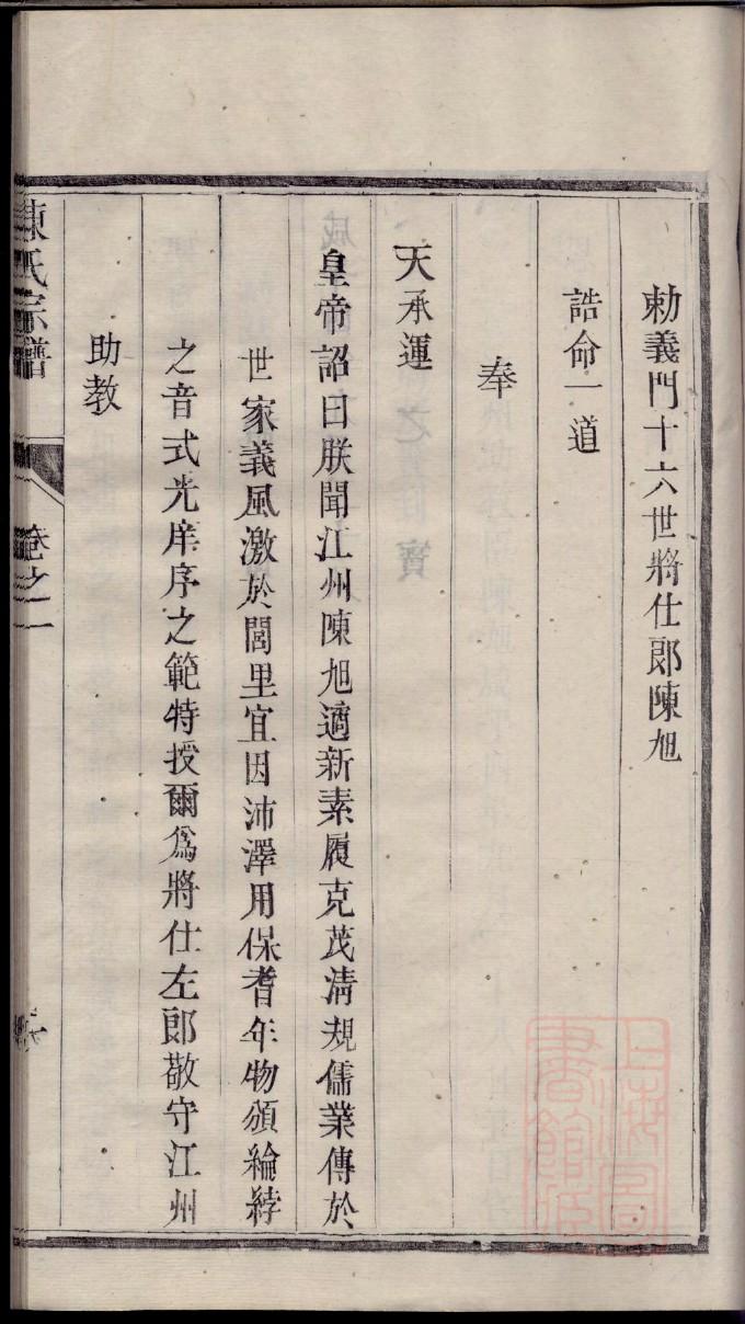 桑家族谱