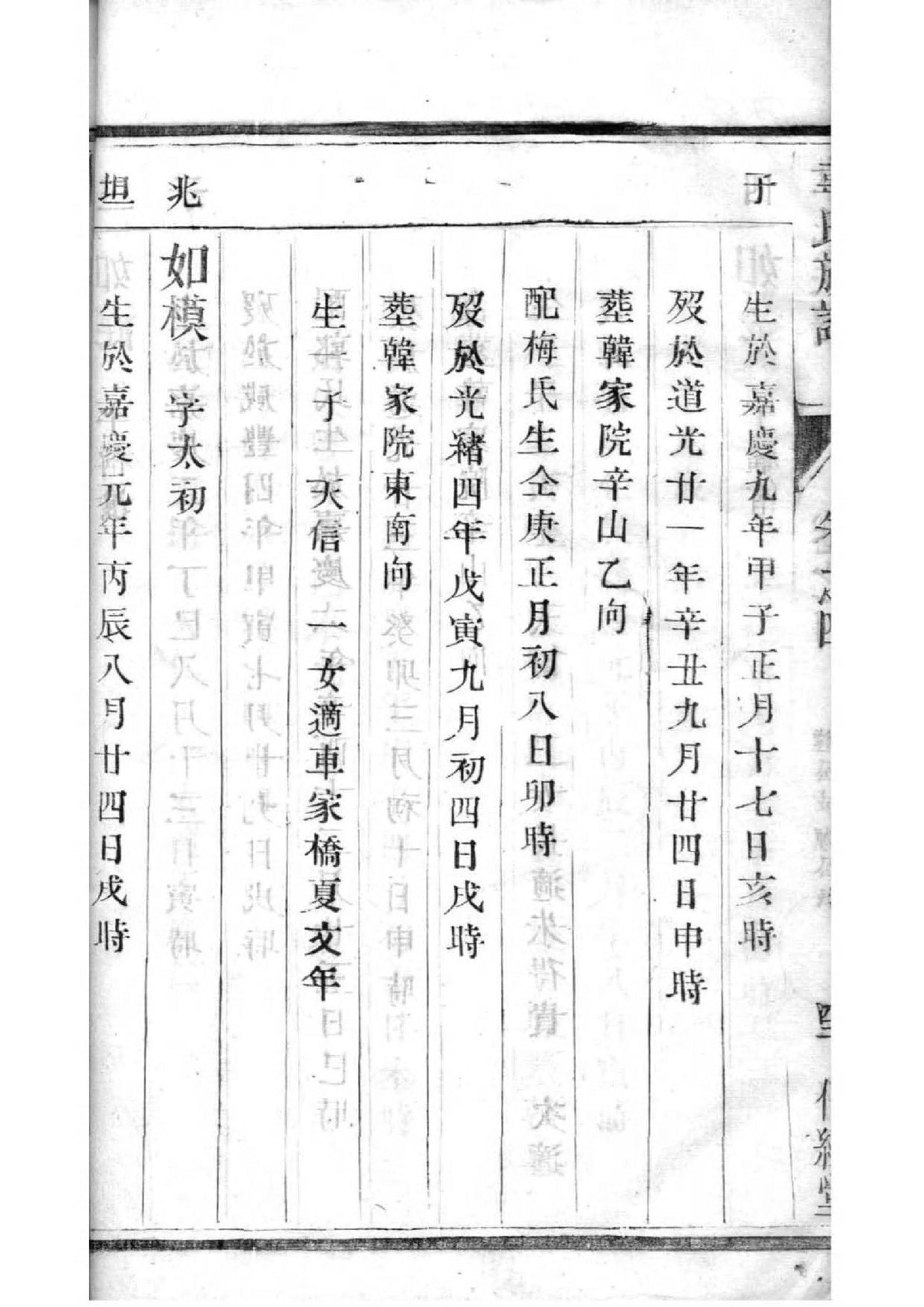 家谱制作公司