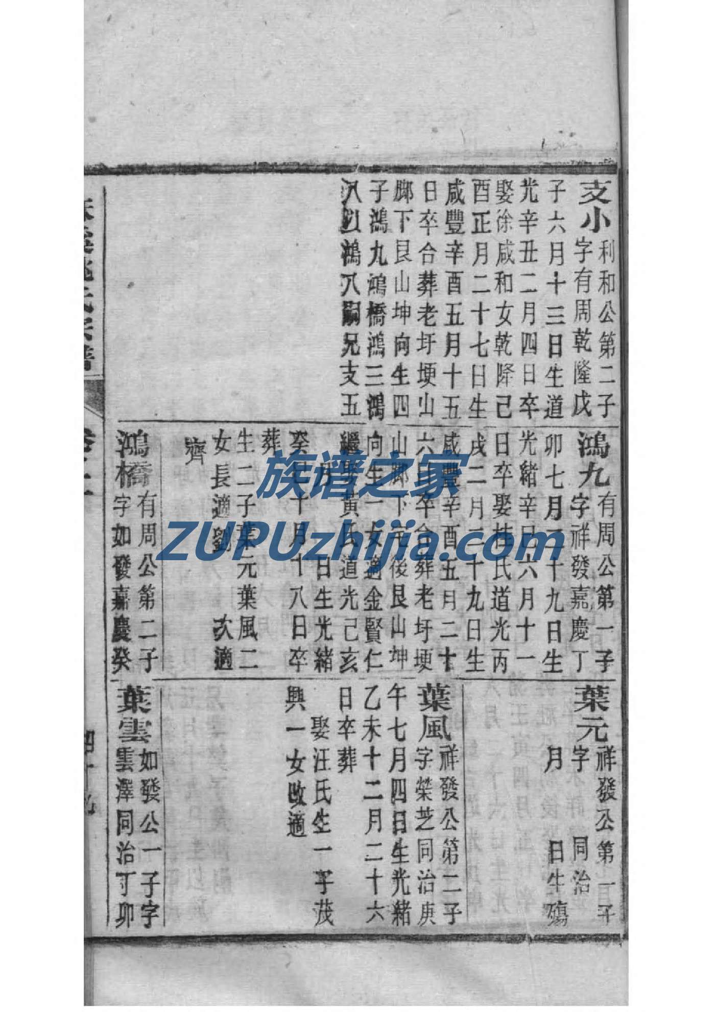 路氏家谱查询