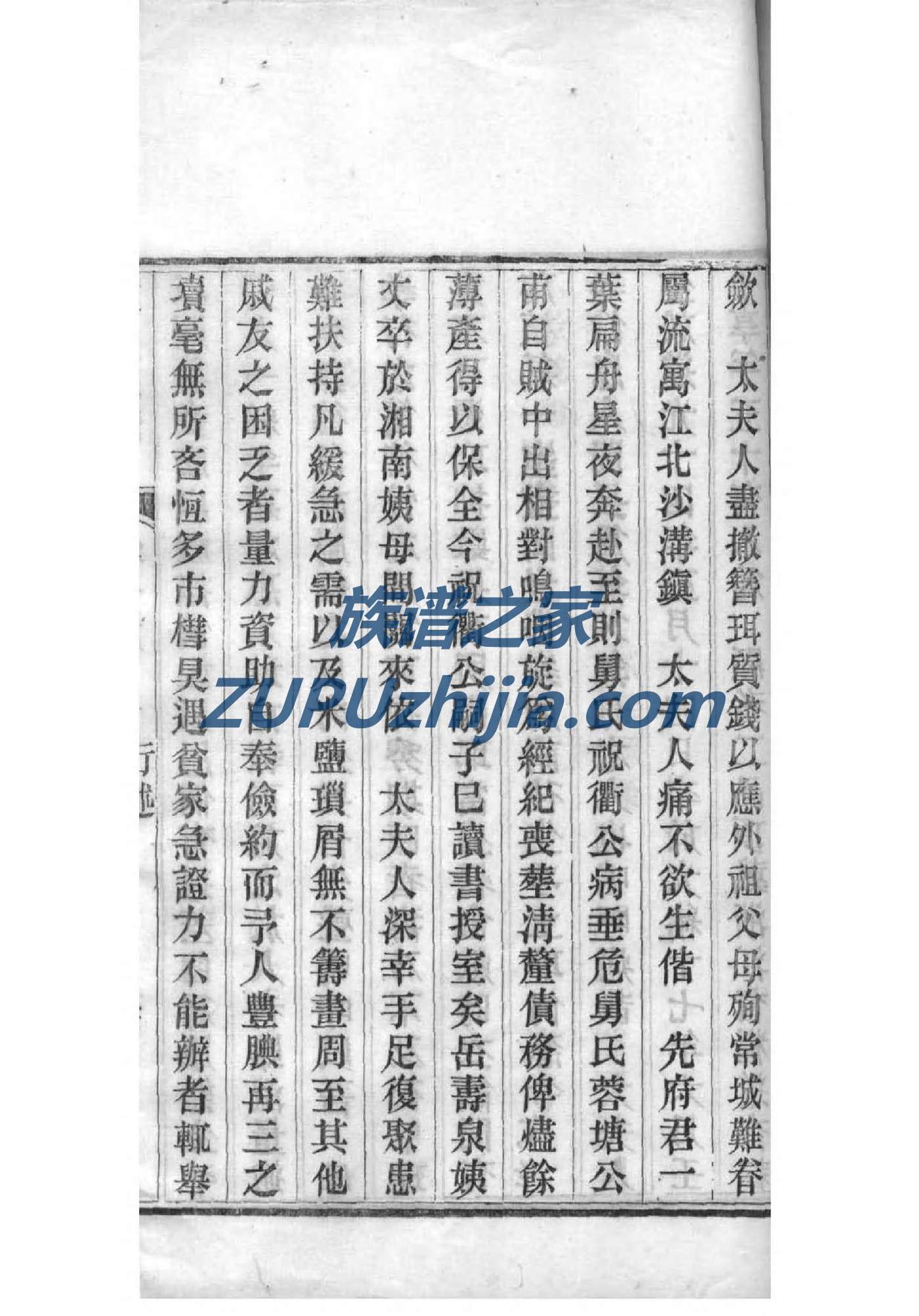 段氏家谱网