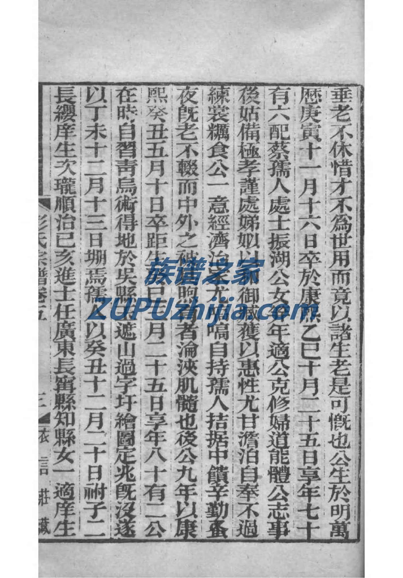 唐氏族谱查询