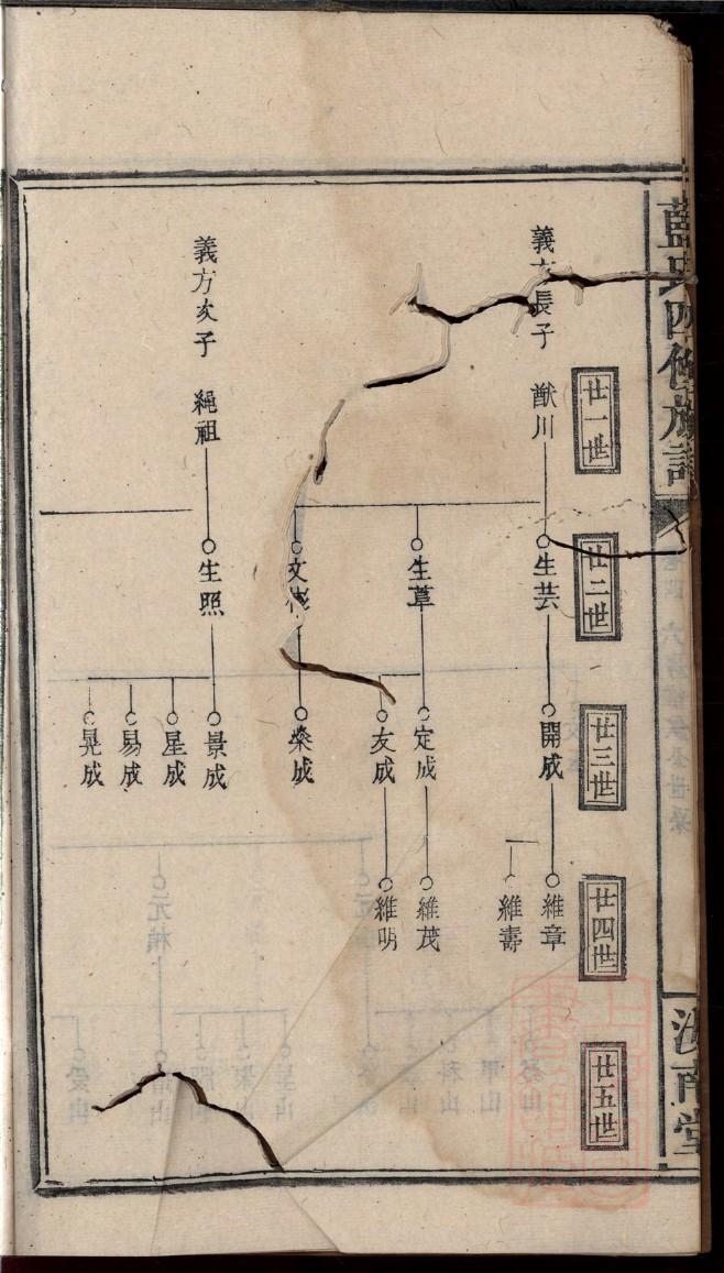 管姓族谱