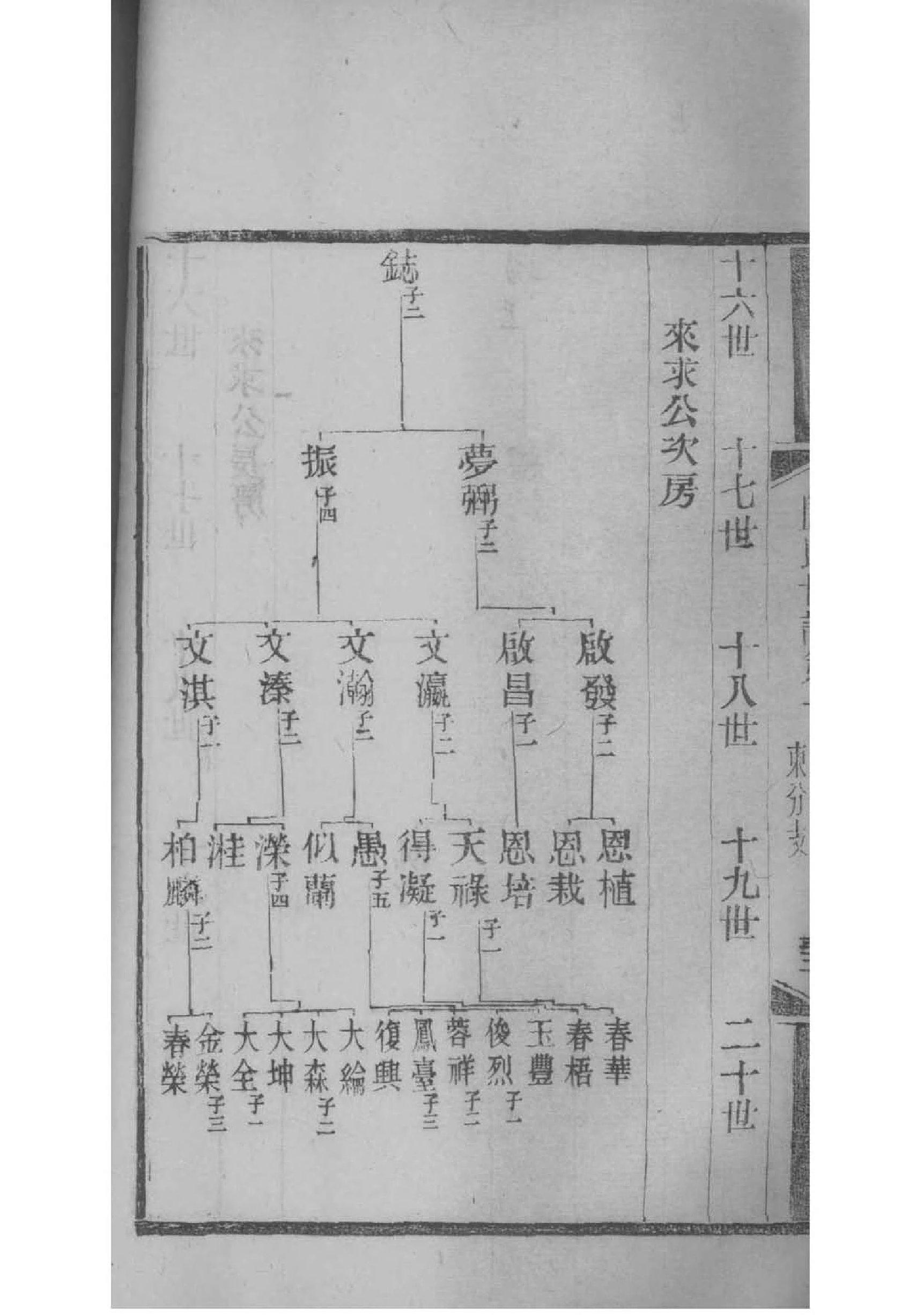 家谱制作教程小学生