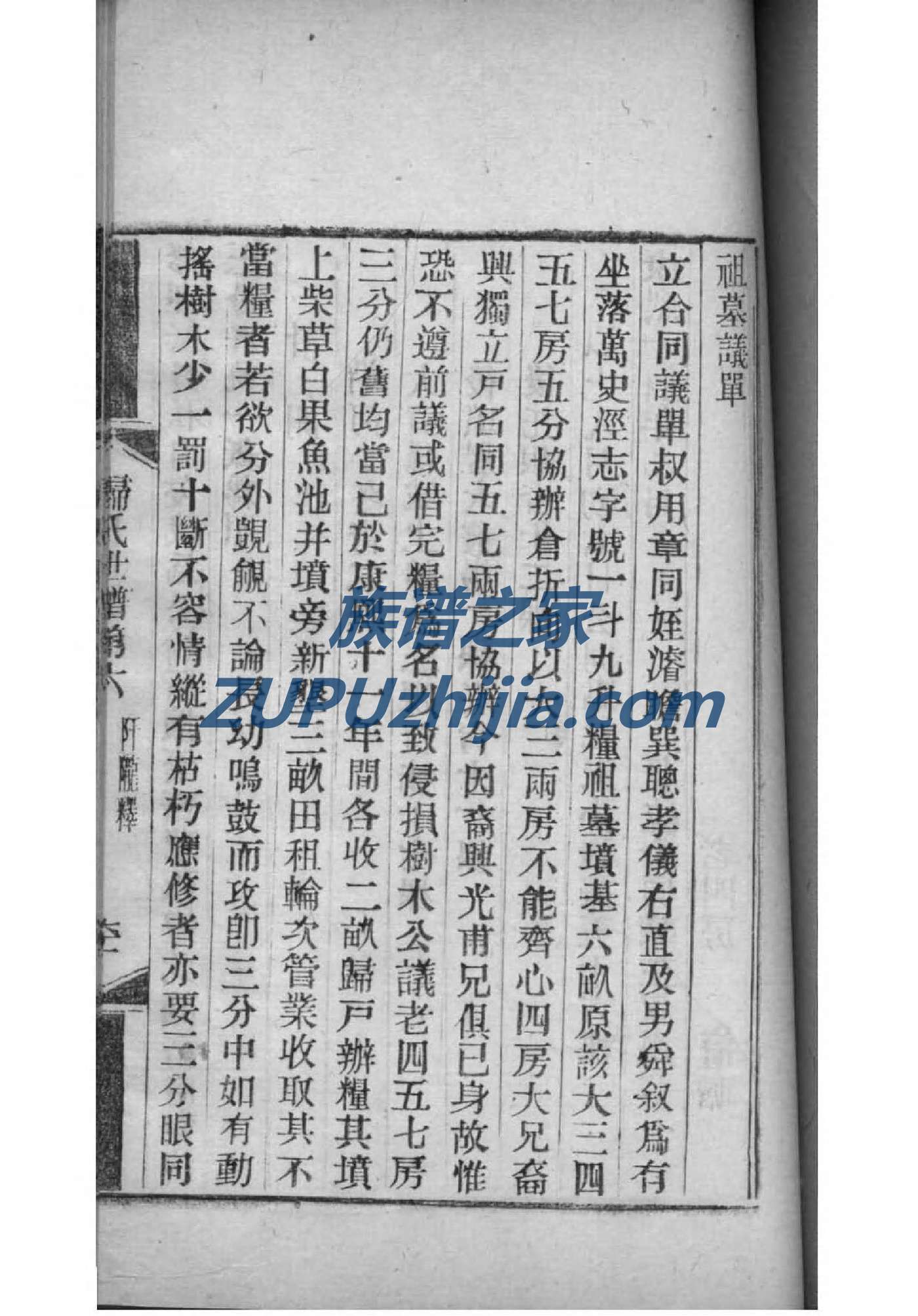 姚氏家谱字辈排序大全