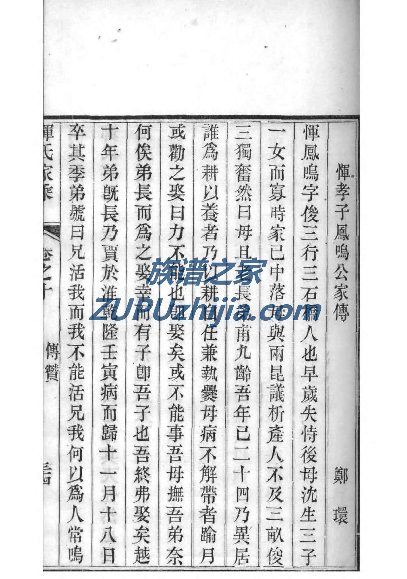 印制族谱