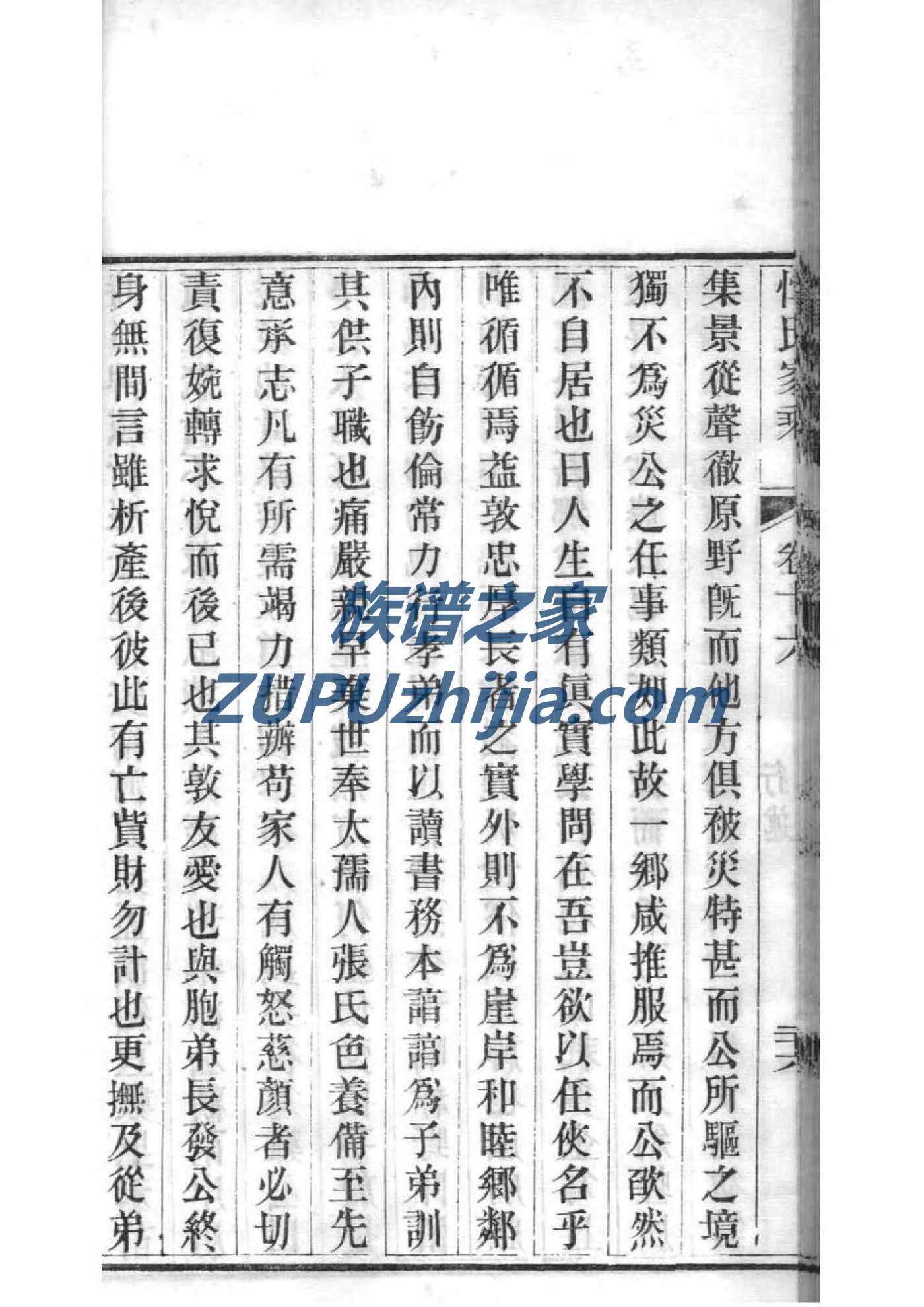 类姓排辈顺序