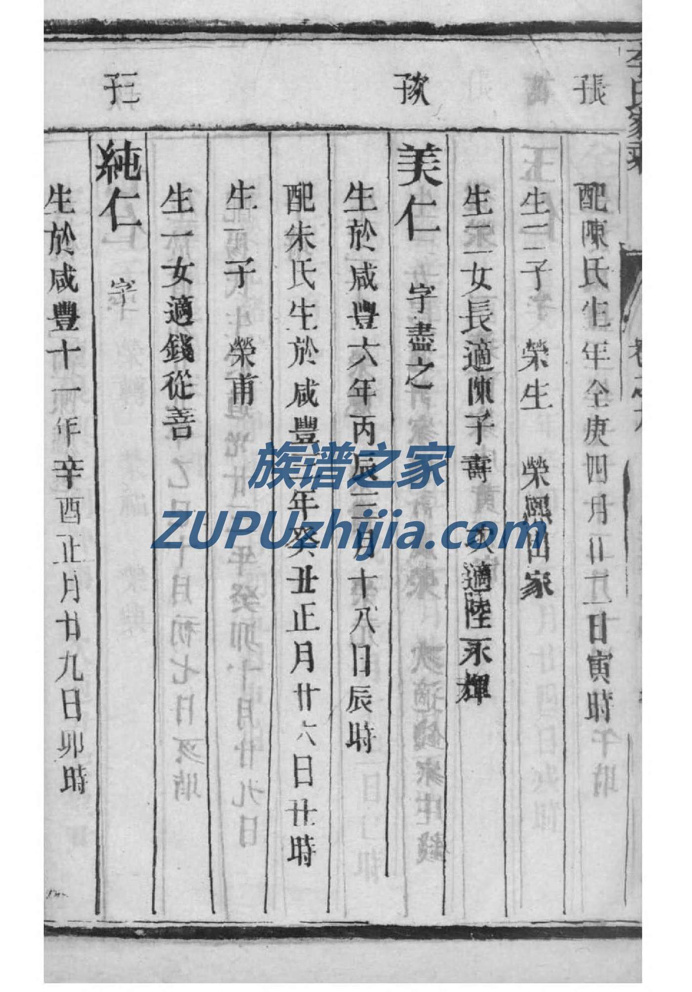 奎楼蒋氏族谱