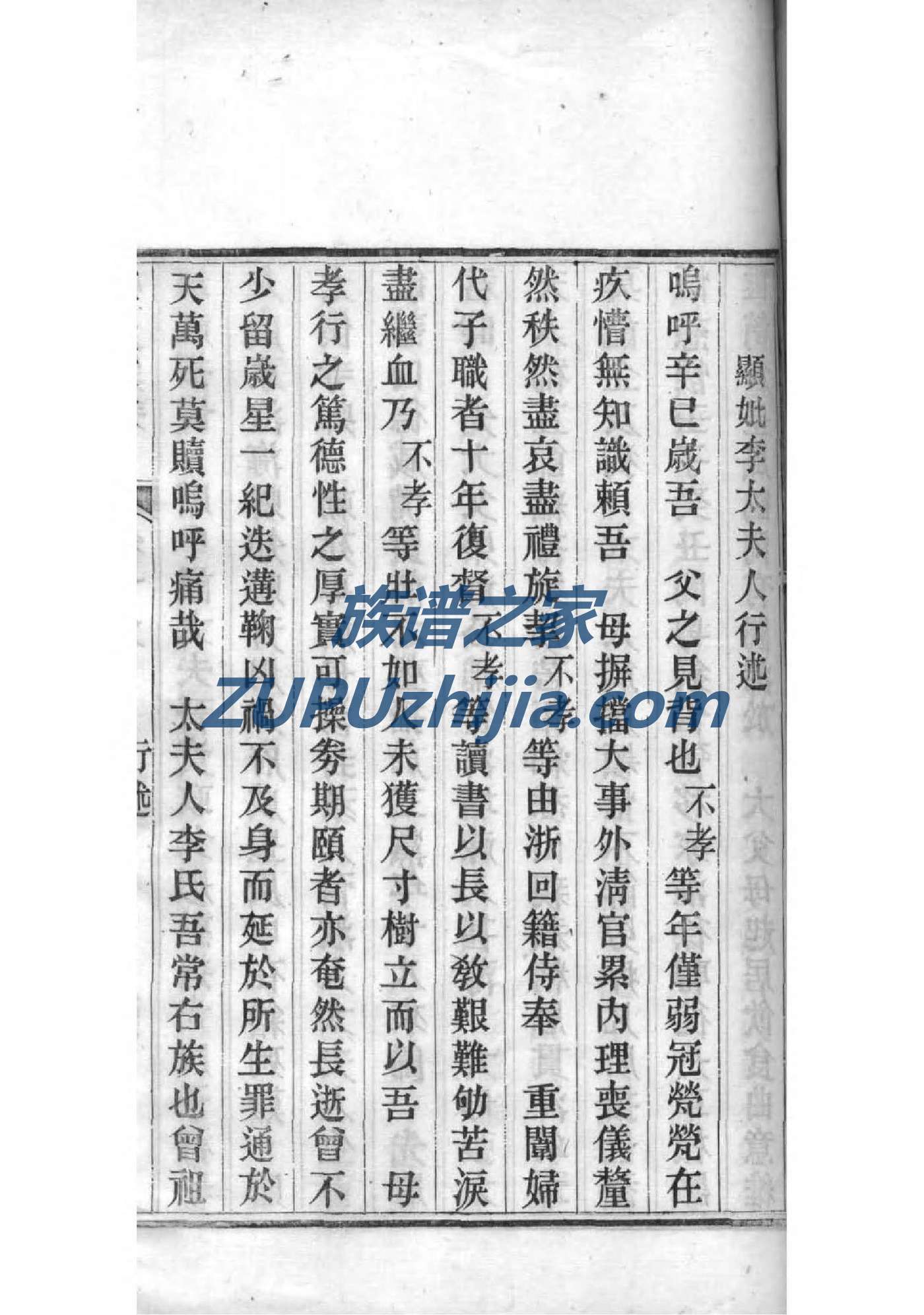 申氏族谱电子版