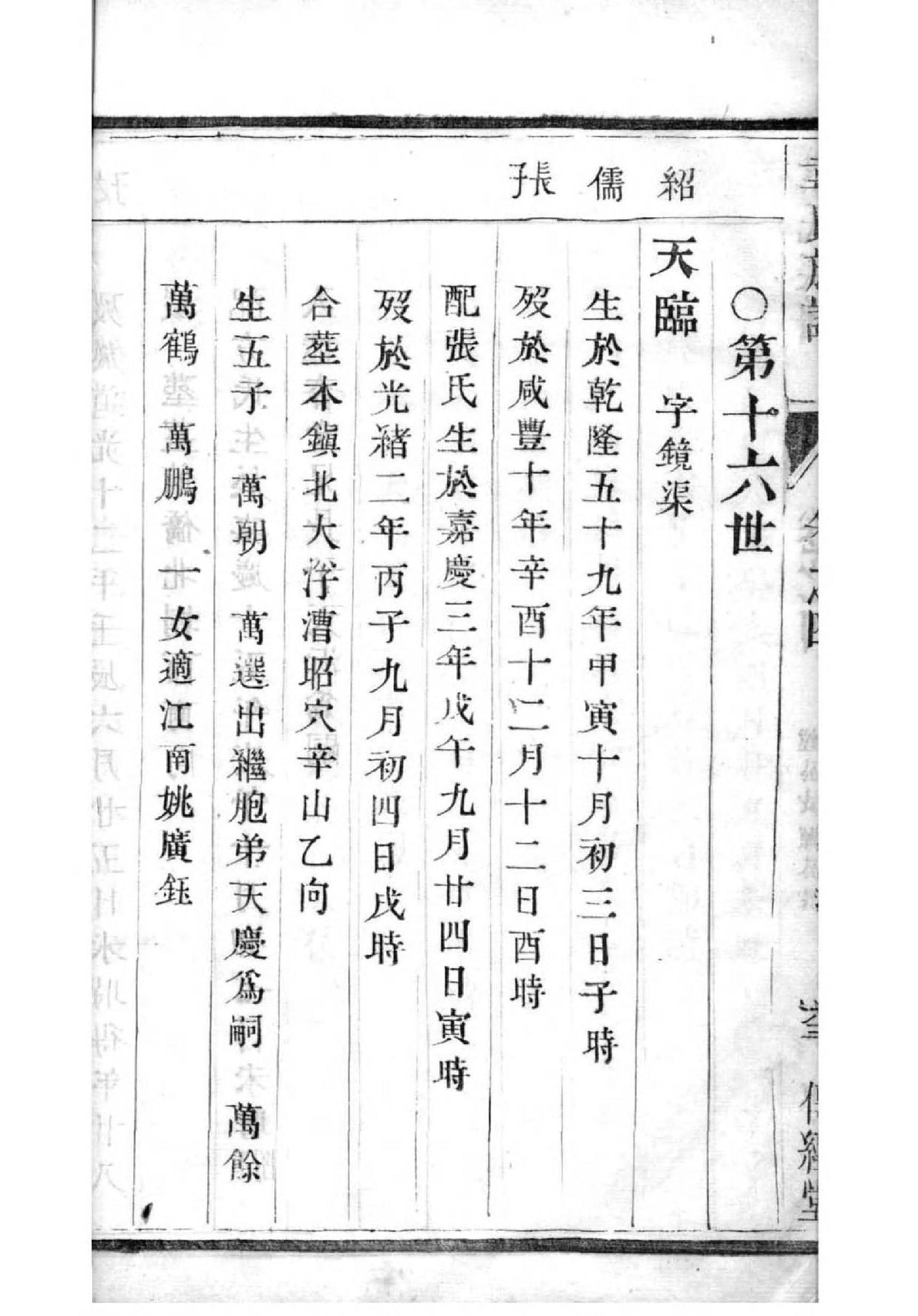 税家族谱查询