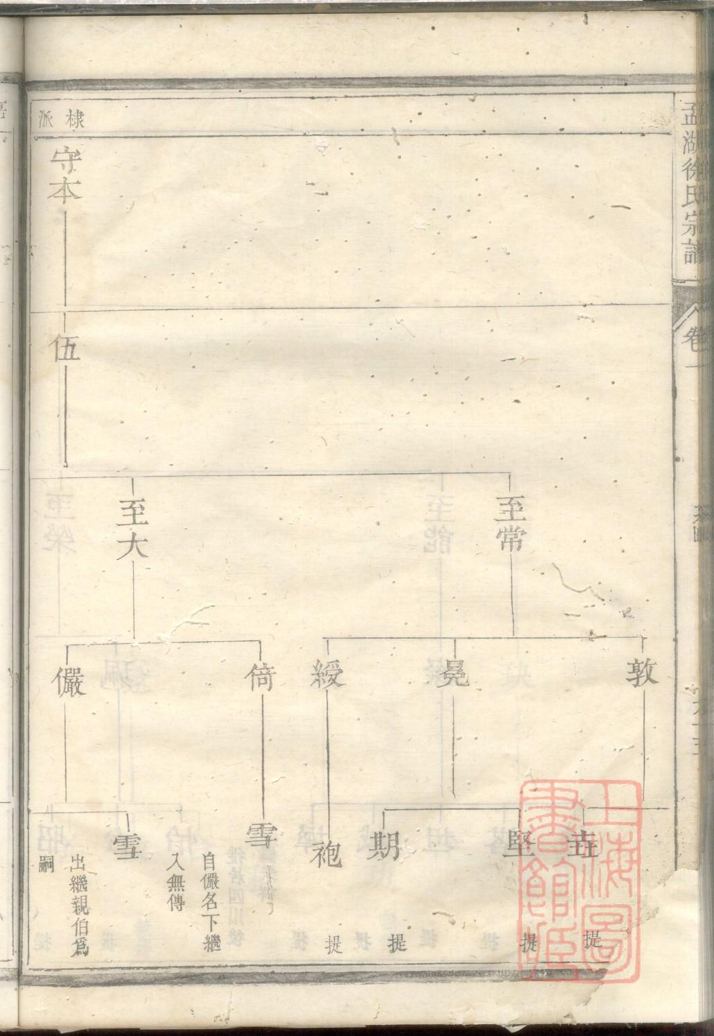 沙家族谱查询