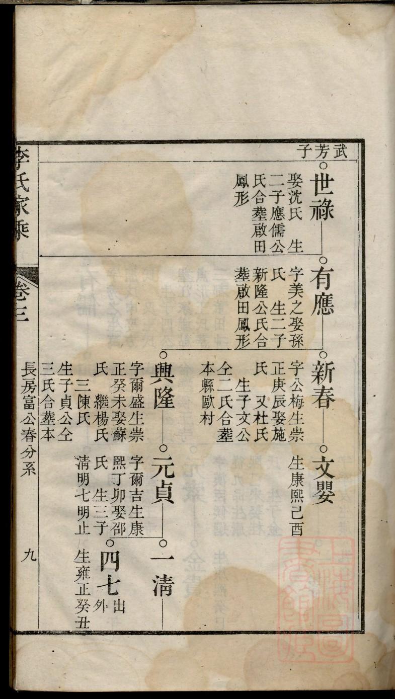 定家族谱查询