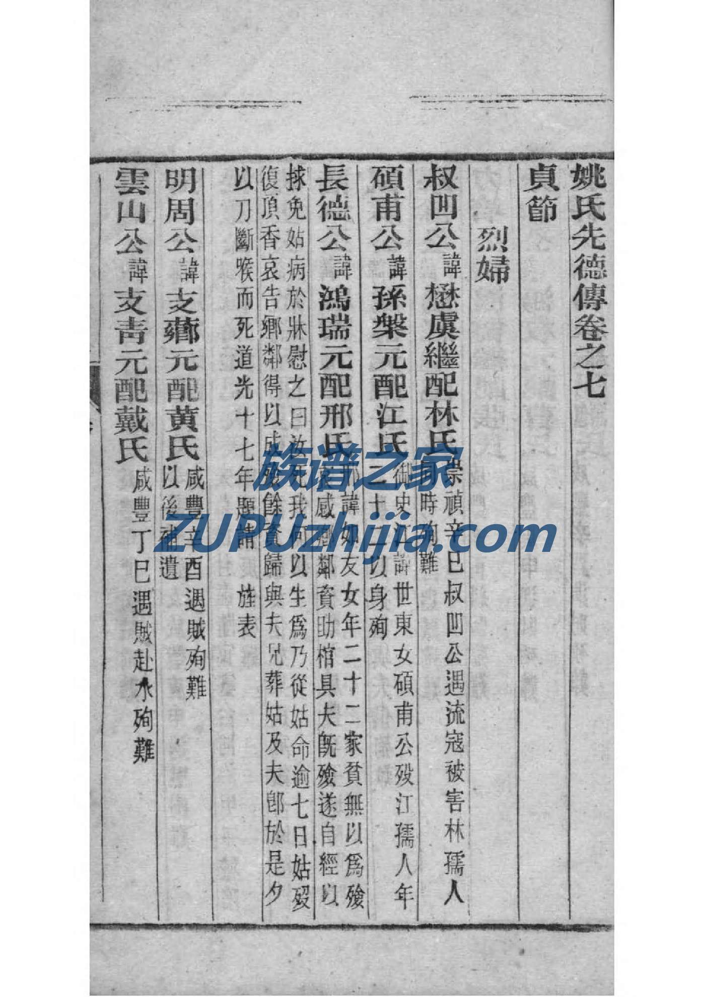 广元王氏族谱