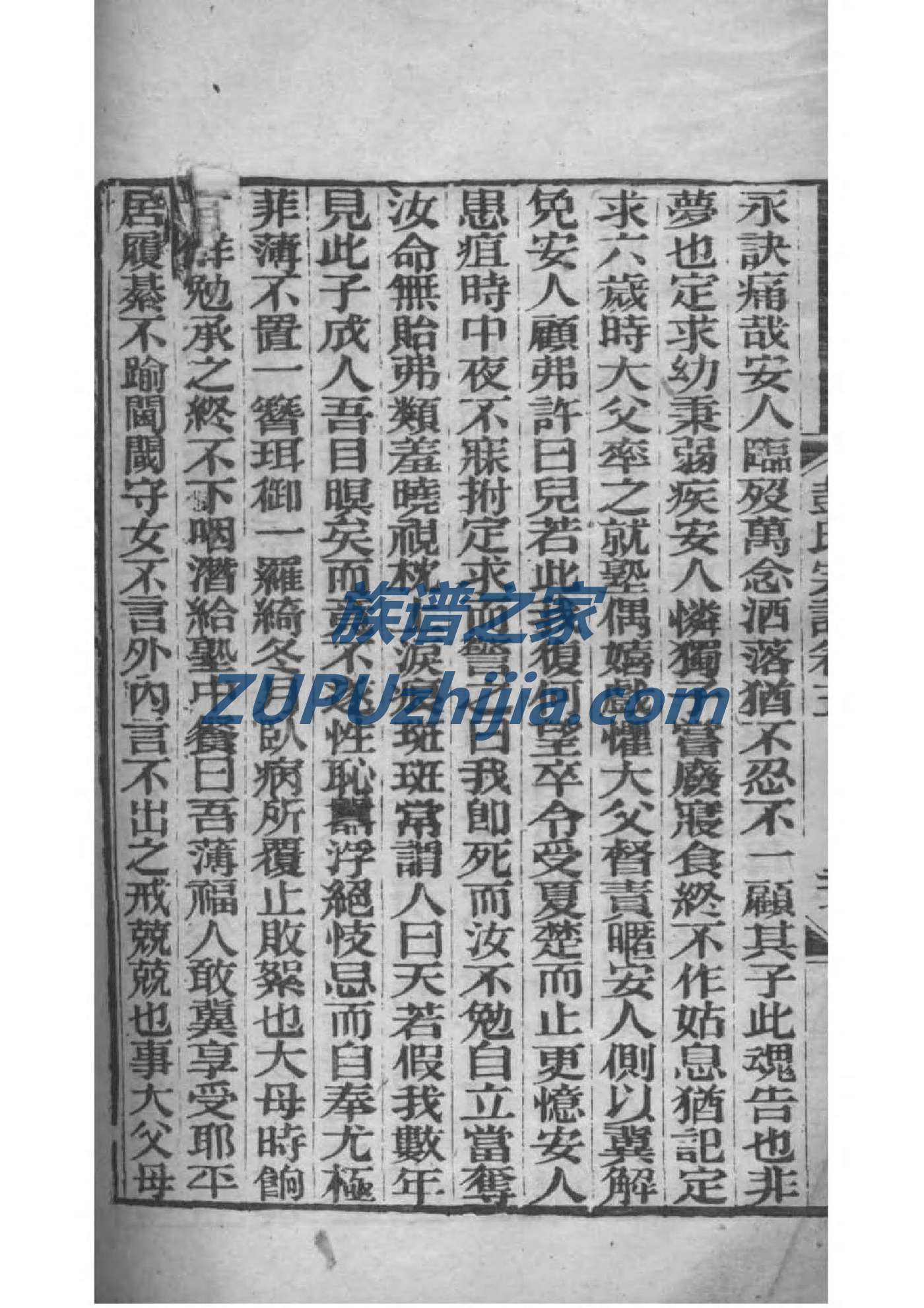 廉家家谱查询