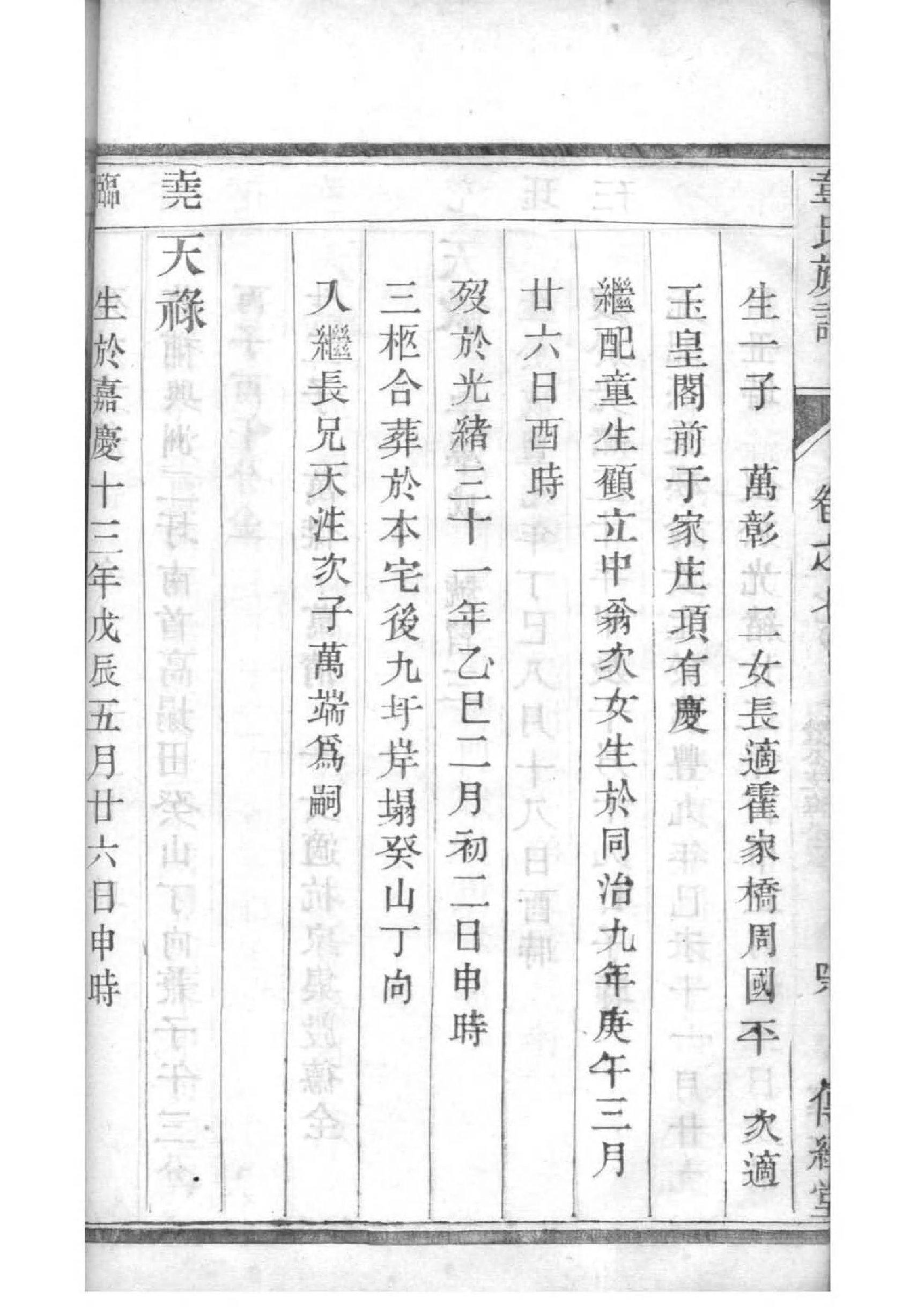 是氏族谱