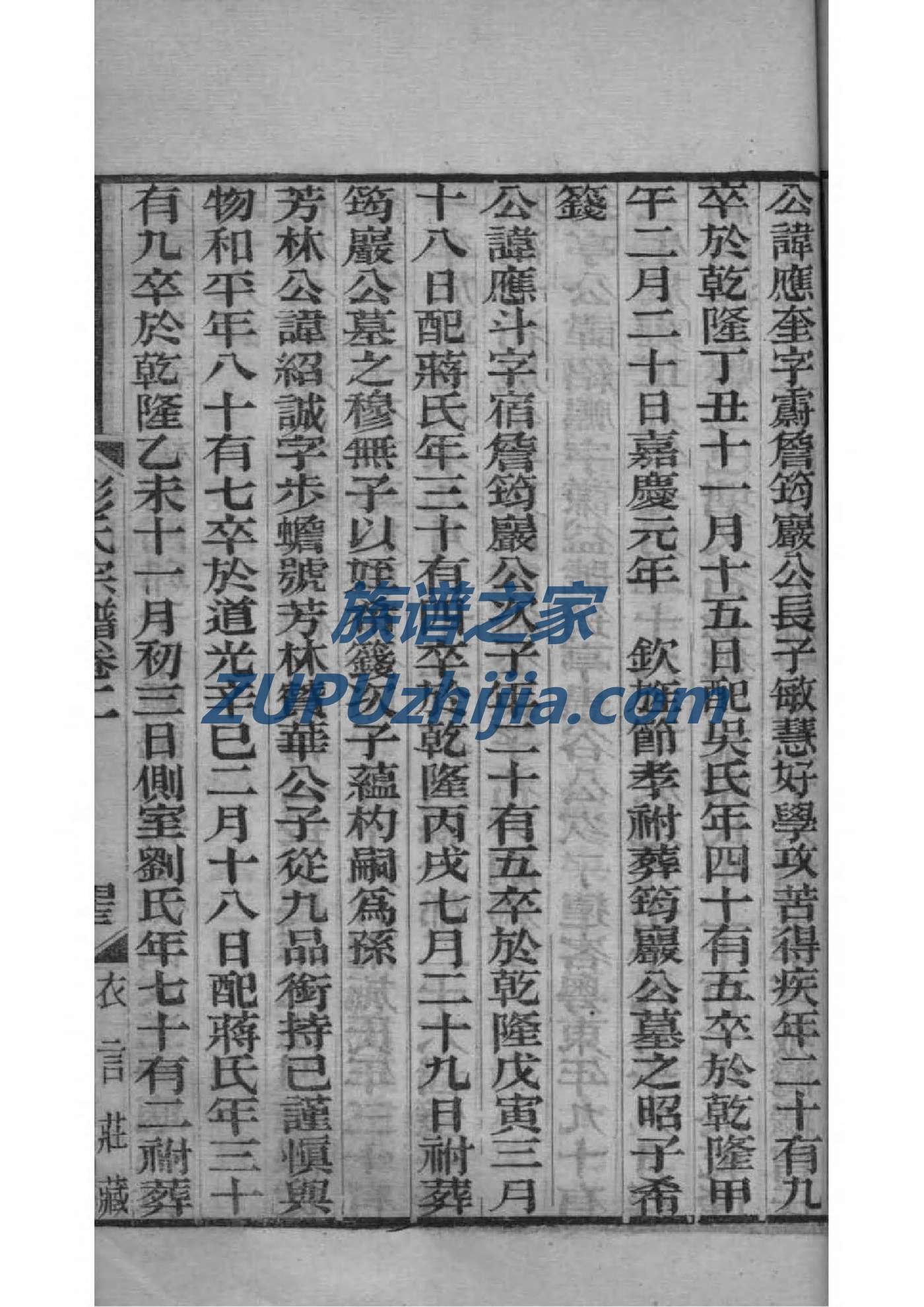 樊家家谱查询