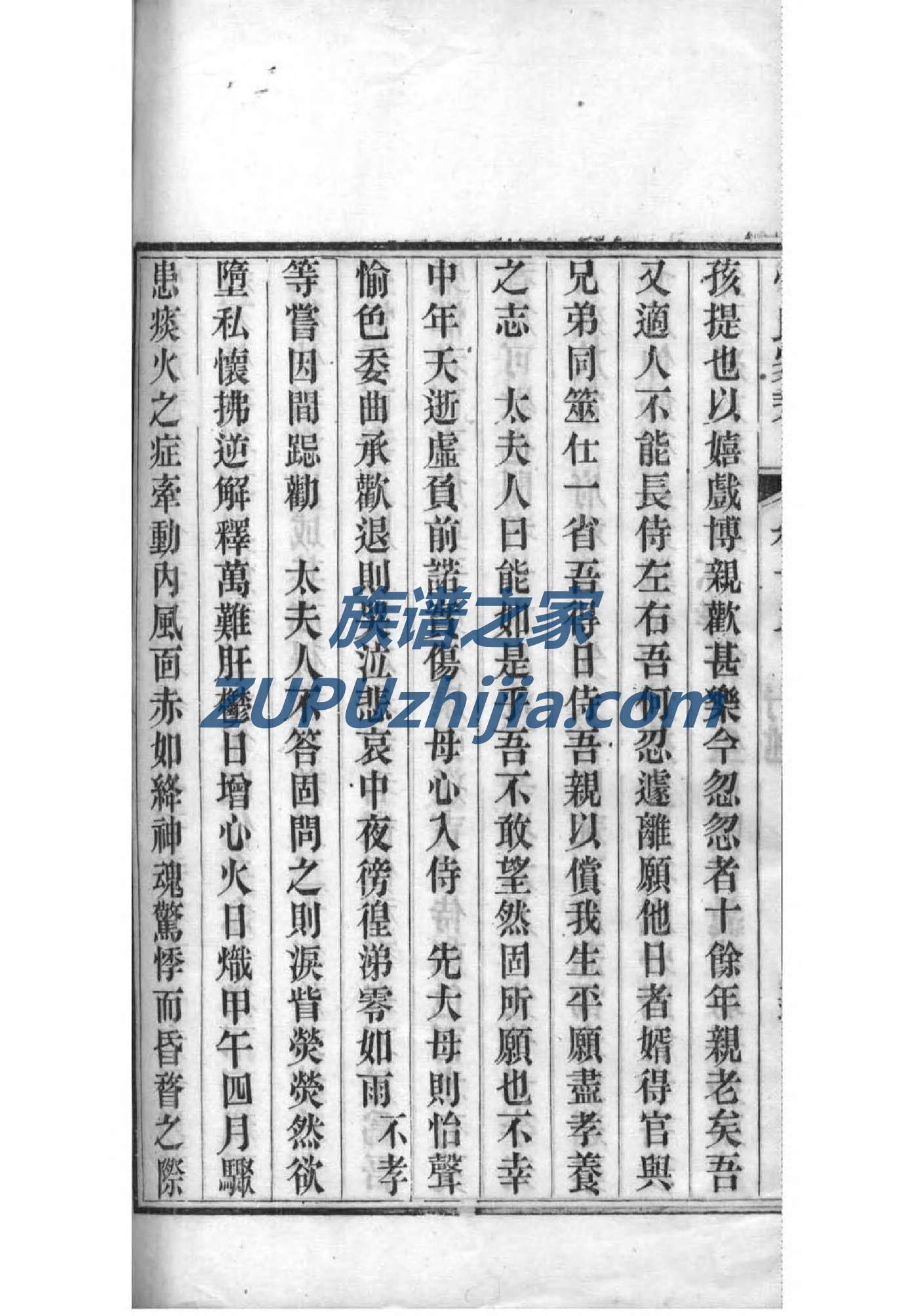 祢姓家谱辈分表