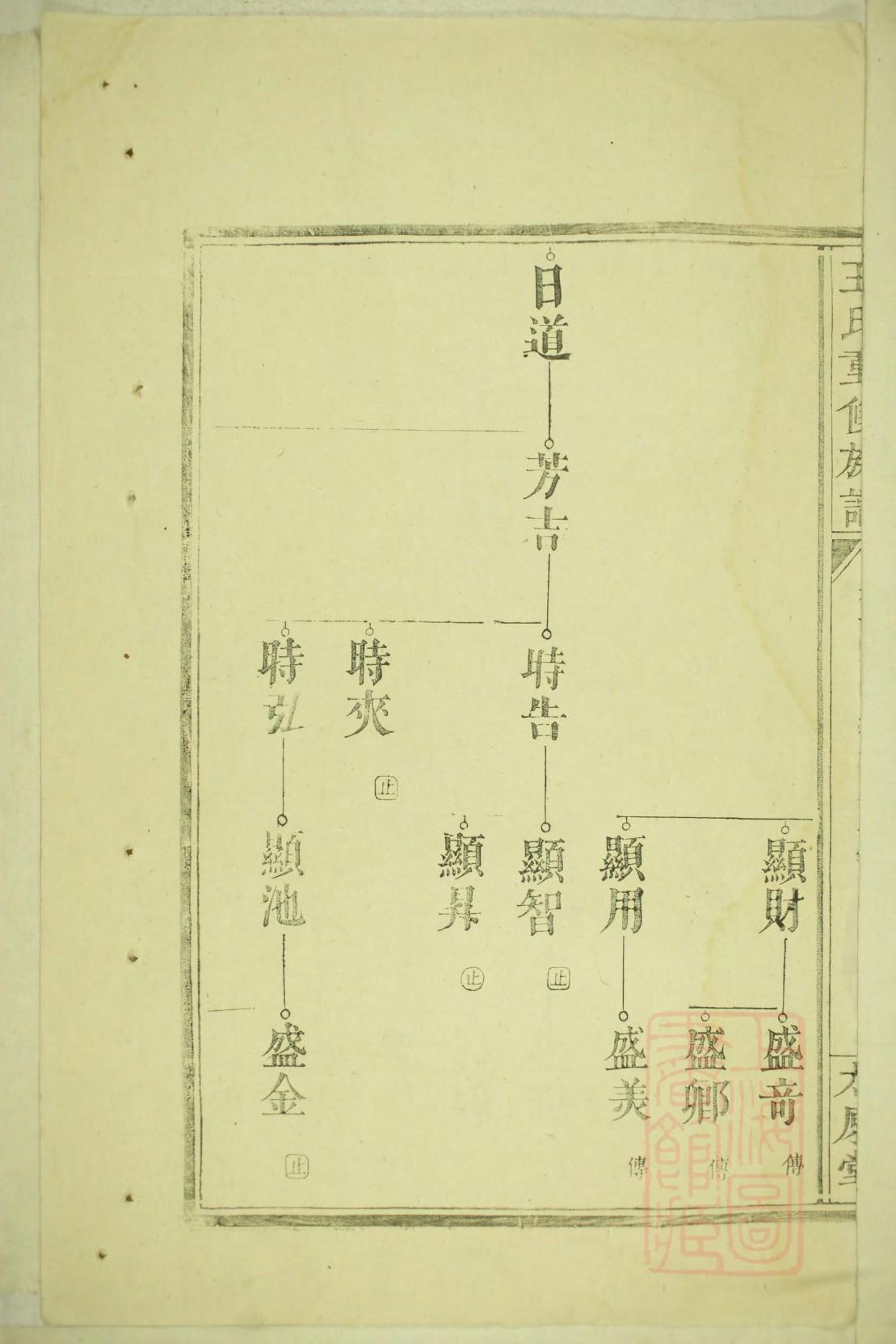 怎样制作自己的家谱