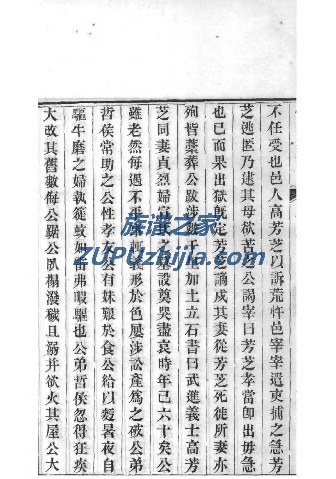 河洛康家族谱