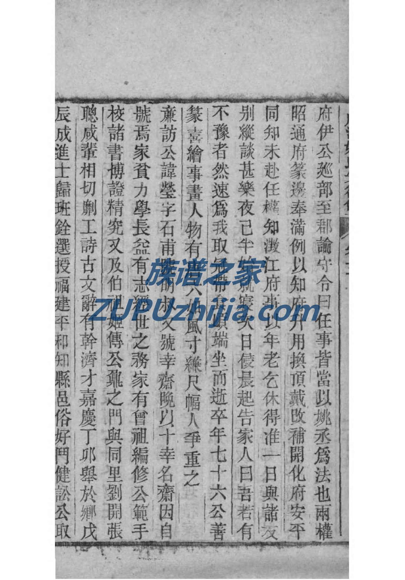 董氏家谱网