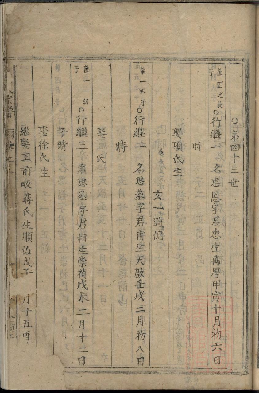 陈氏族谱网站
