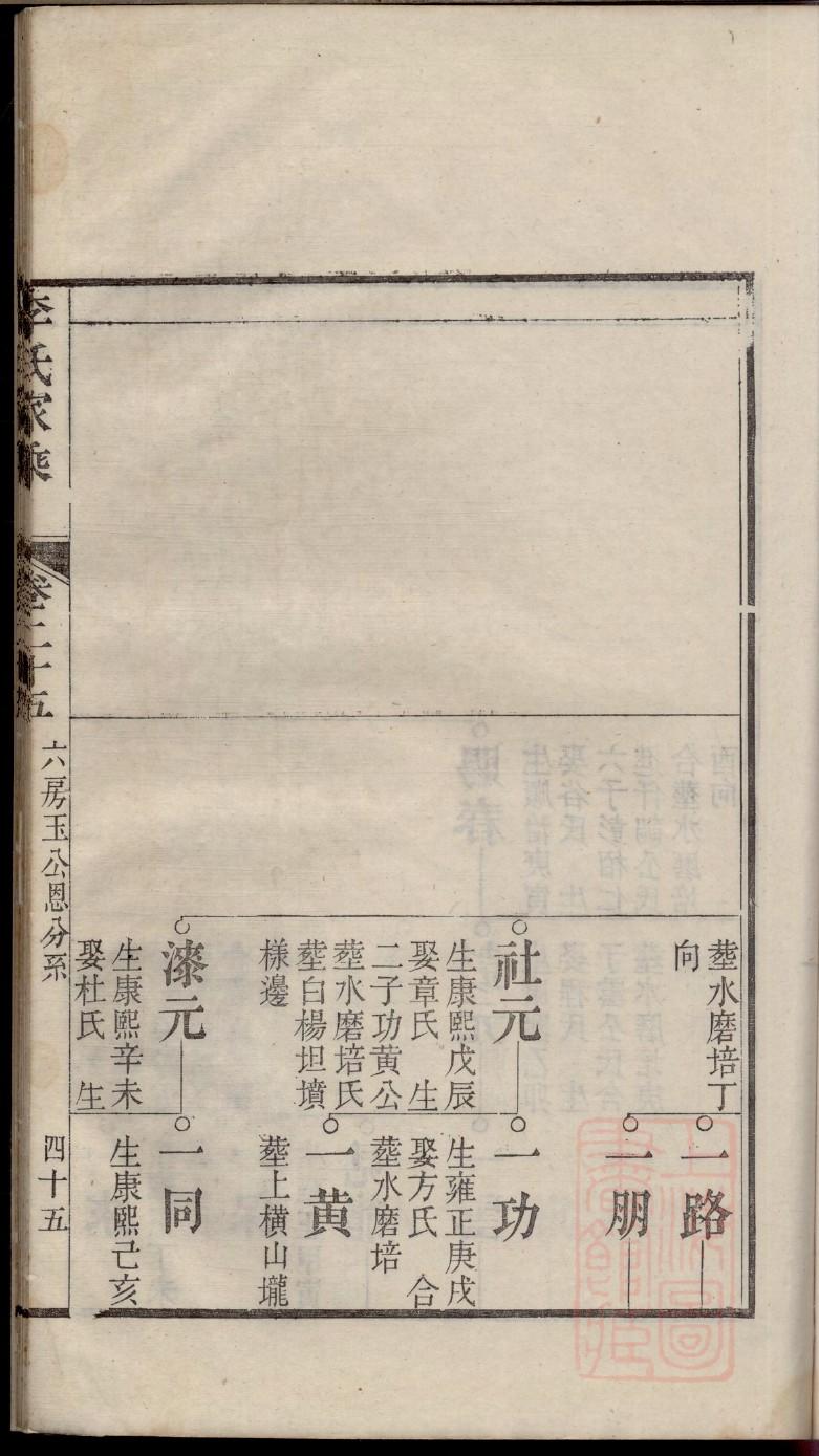 家谱制作空白表