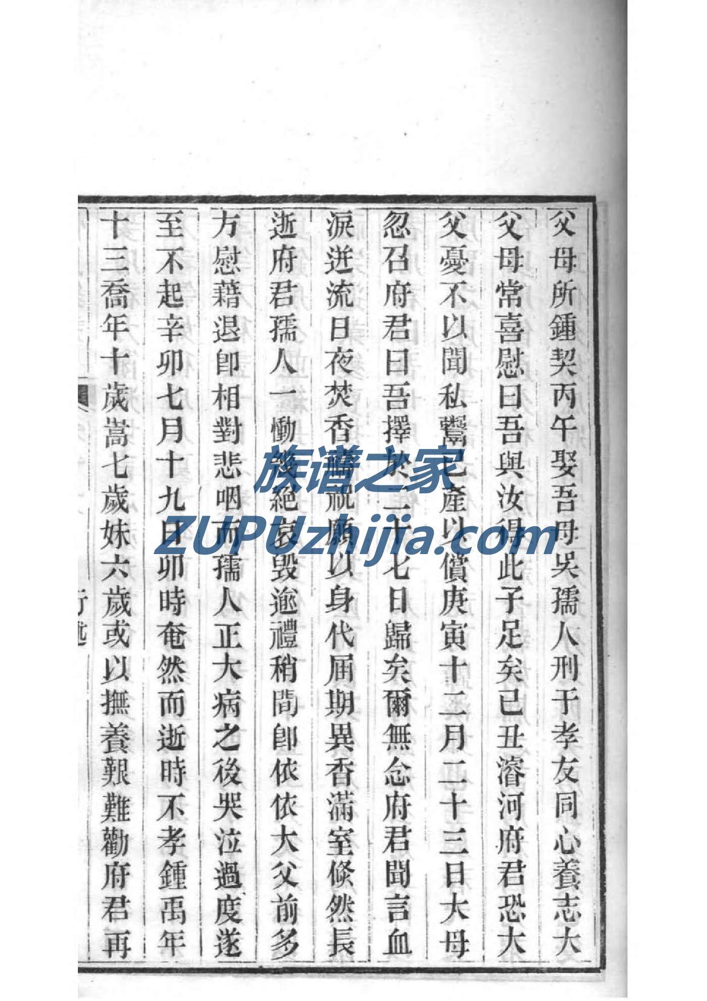 沈氏族谱序范本范文