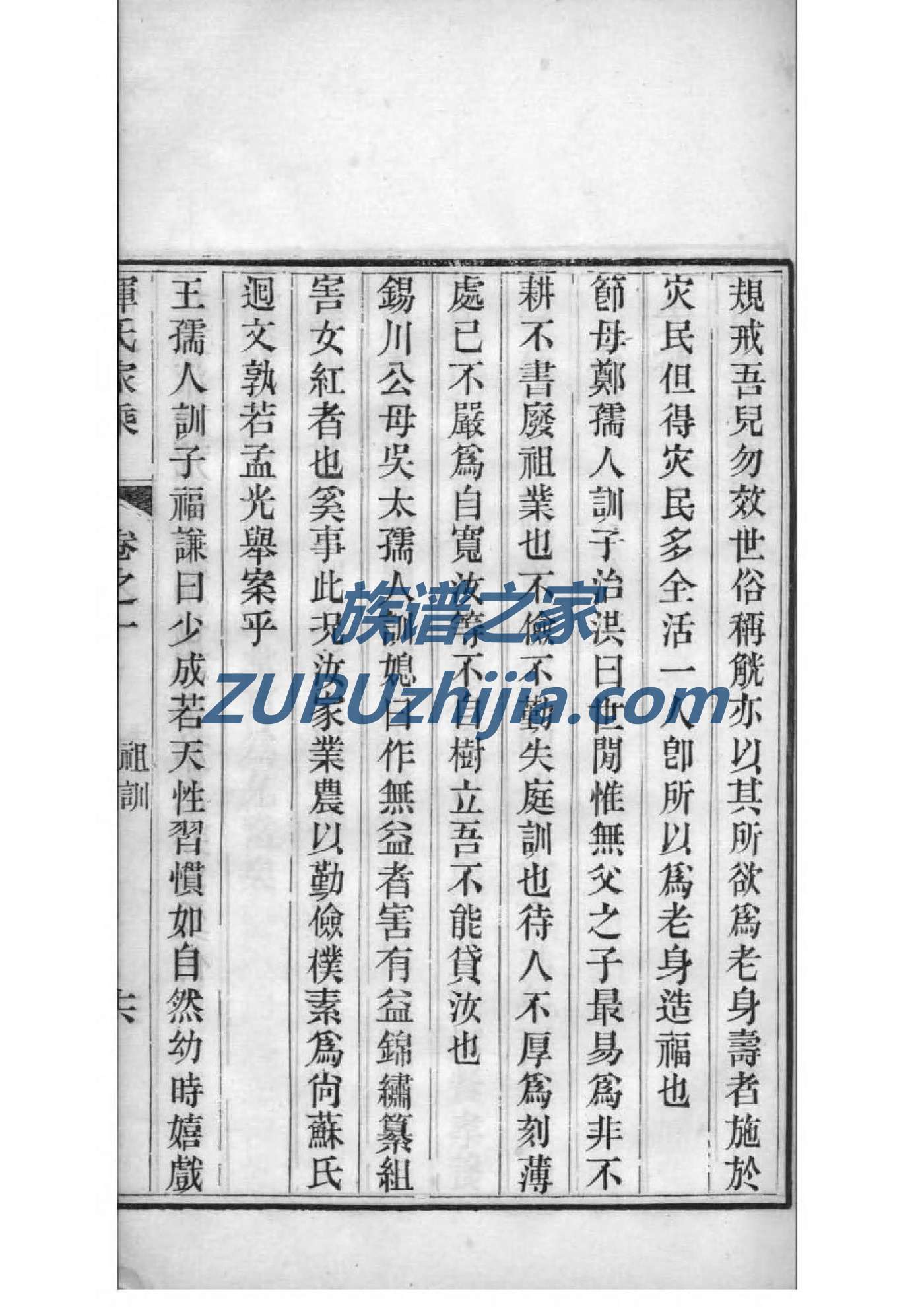 南宁三津村族谱