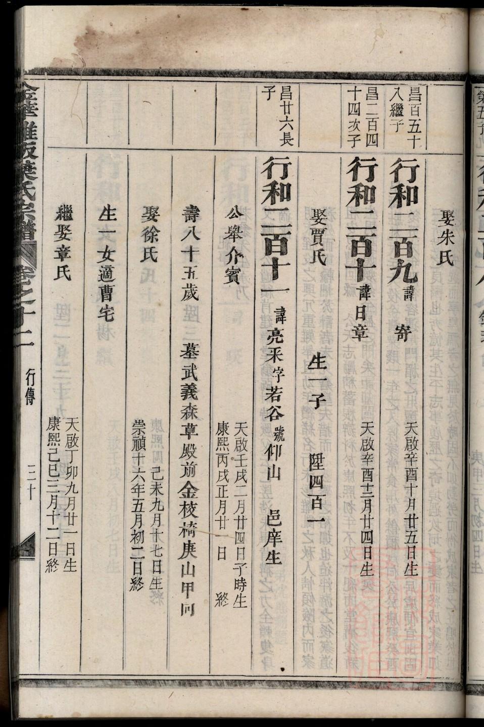 家谱图表制作教程