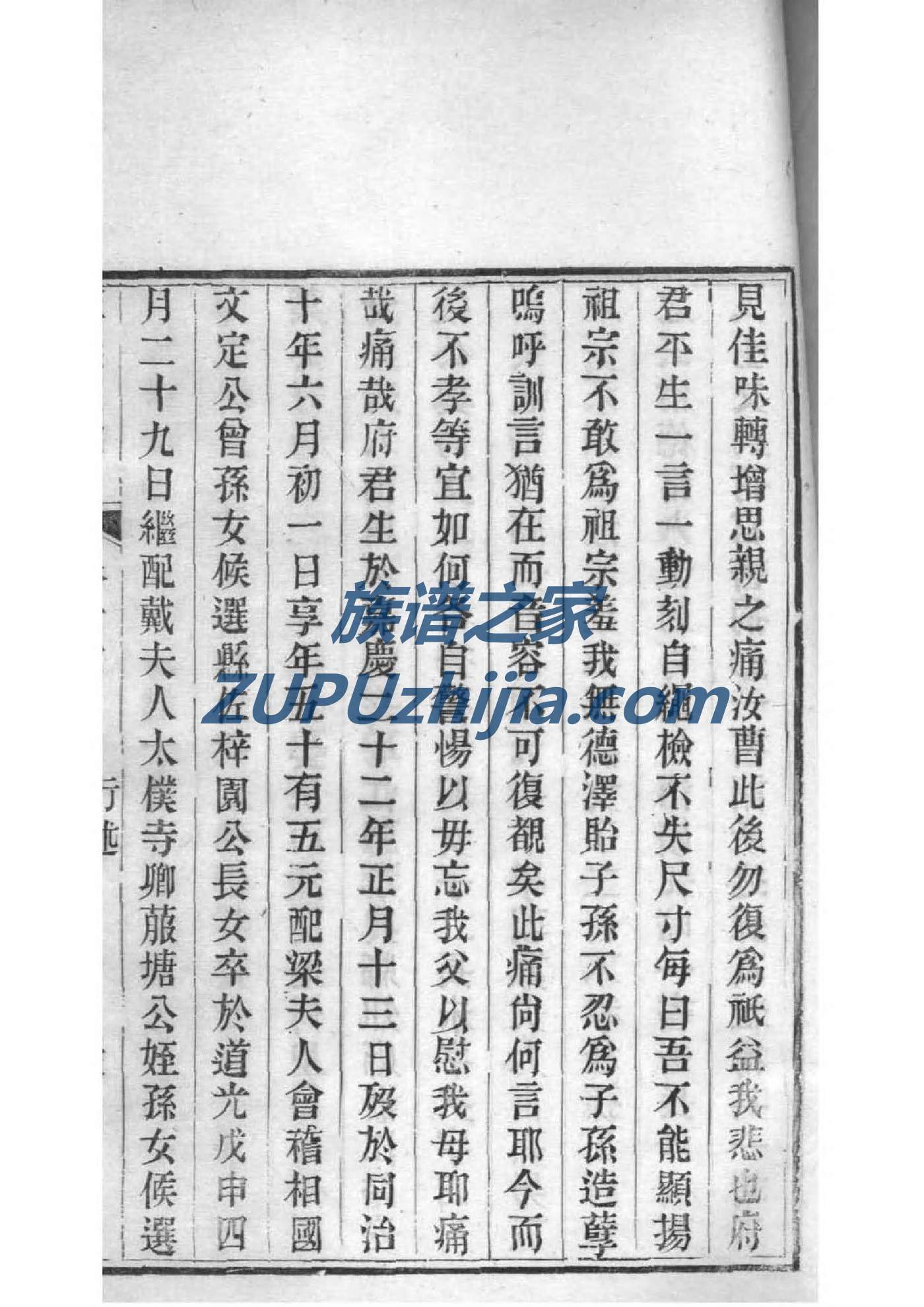 李氏族谱完整版
