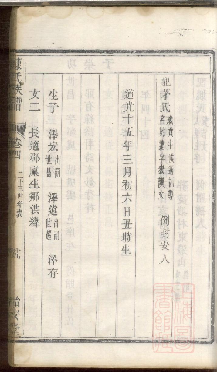 族谱模板免费